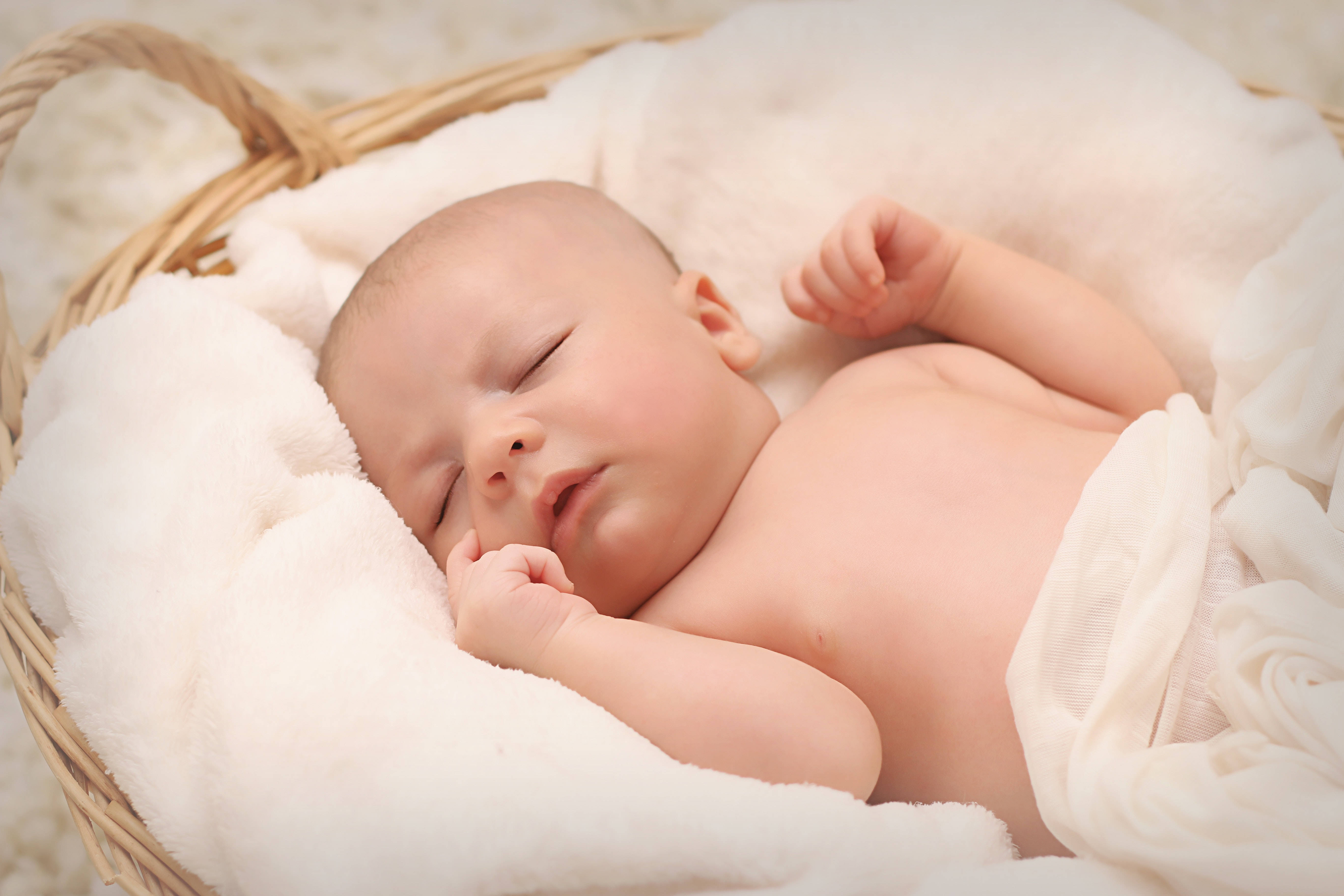 newborn baby, woven basket, soft white blankets, 5K Desktop Wallpaper