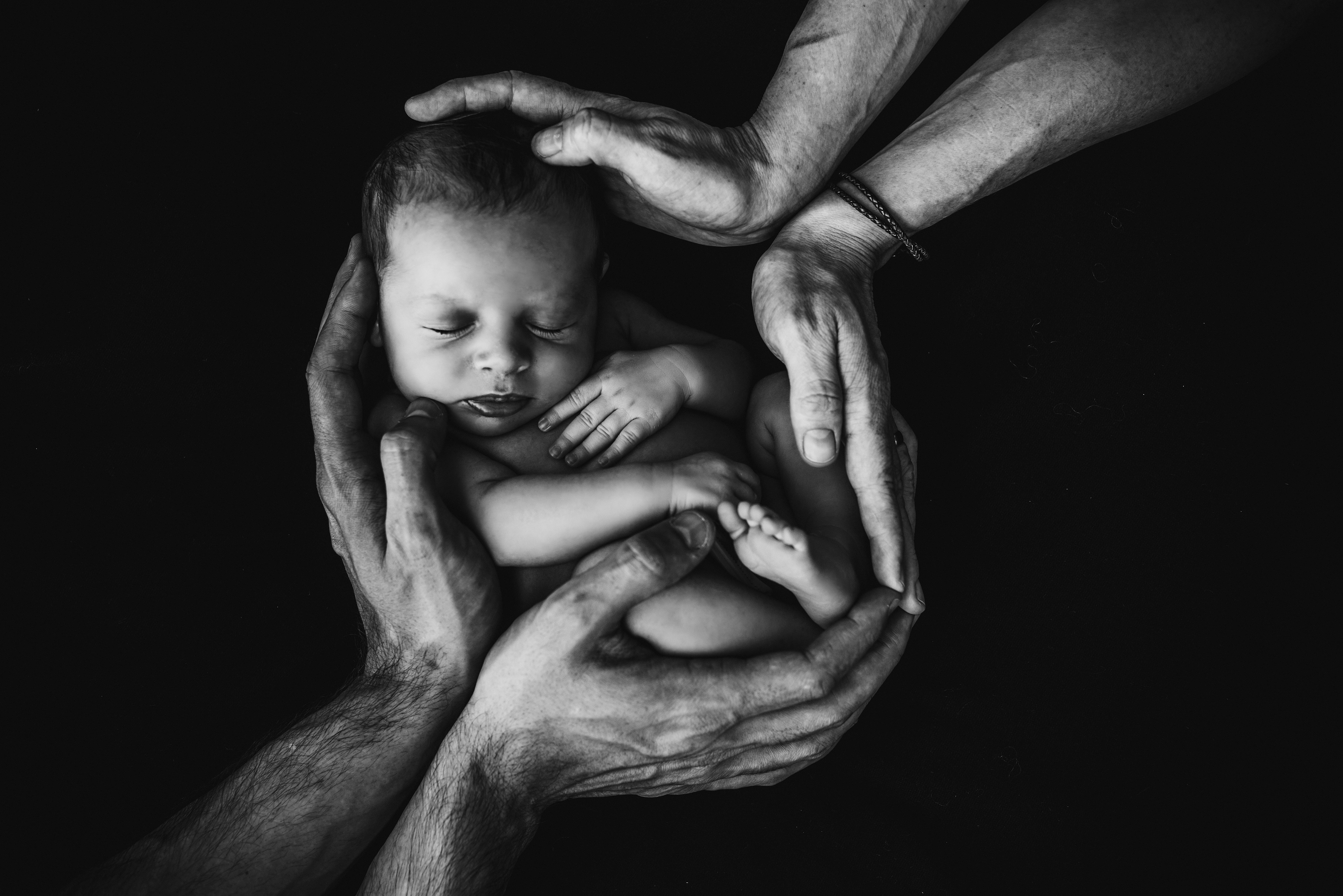 newborn baby, four adult hands, stark black background, 5K Desktop Wallpaper