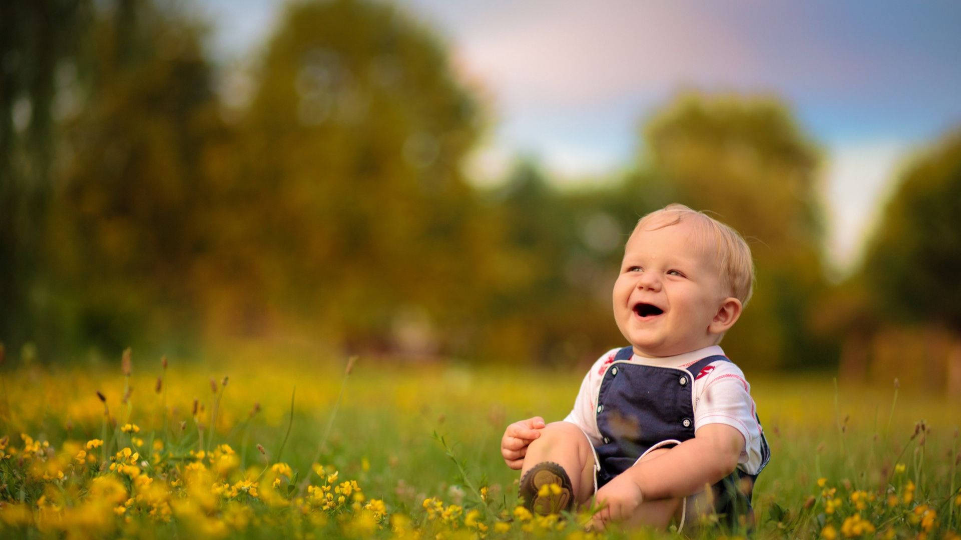 baby, yellow field, sunlit field, Full HD Desktop Wallpaper