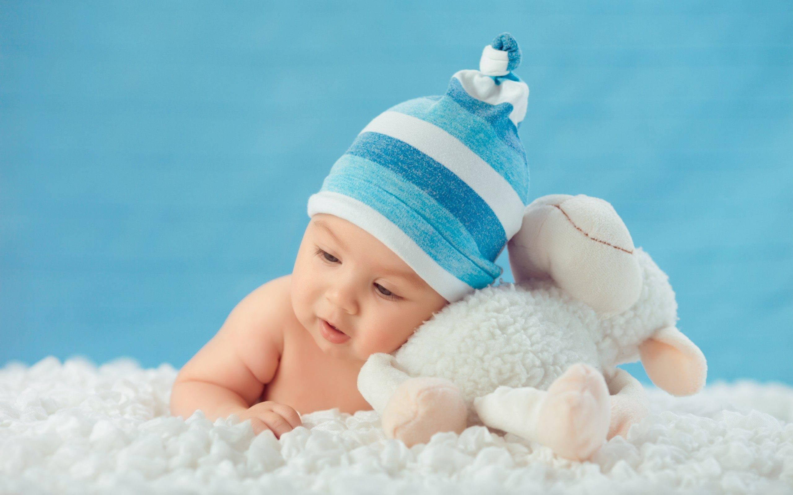 baby, blue striped hat, plush sheep toy, 2K Desktop Wallpaper
