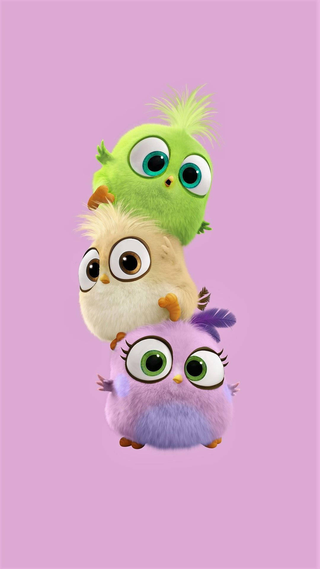 cute cartoon baby birds, fluffy cartoon birds, solid pink background, Full HD Phone Wallpaper