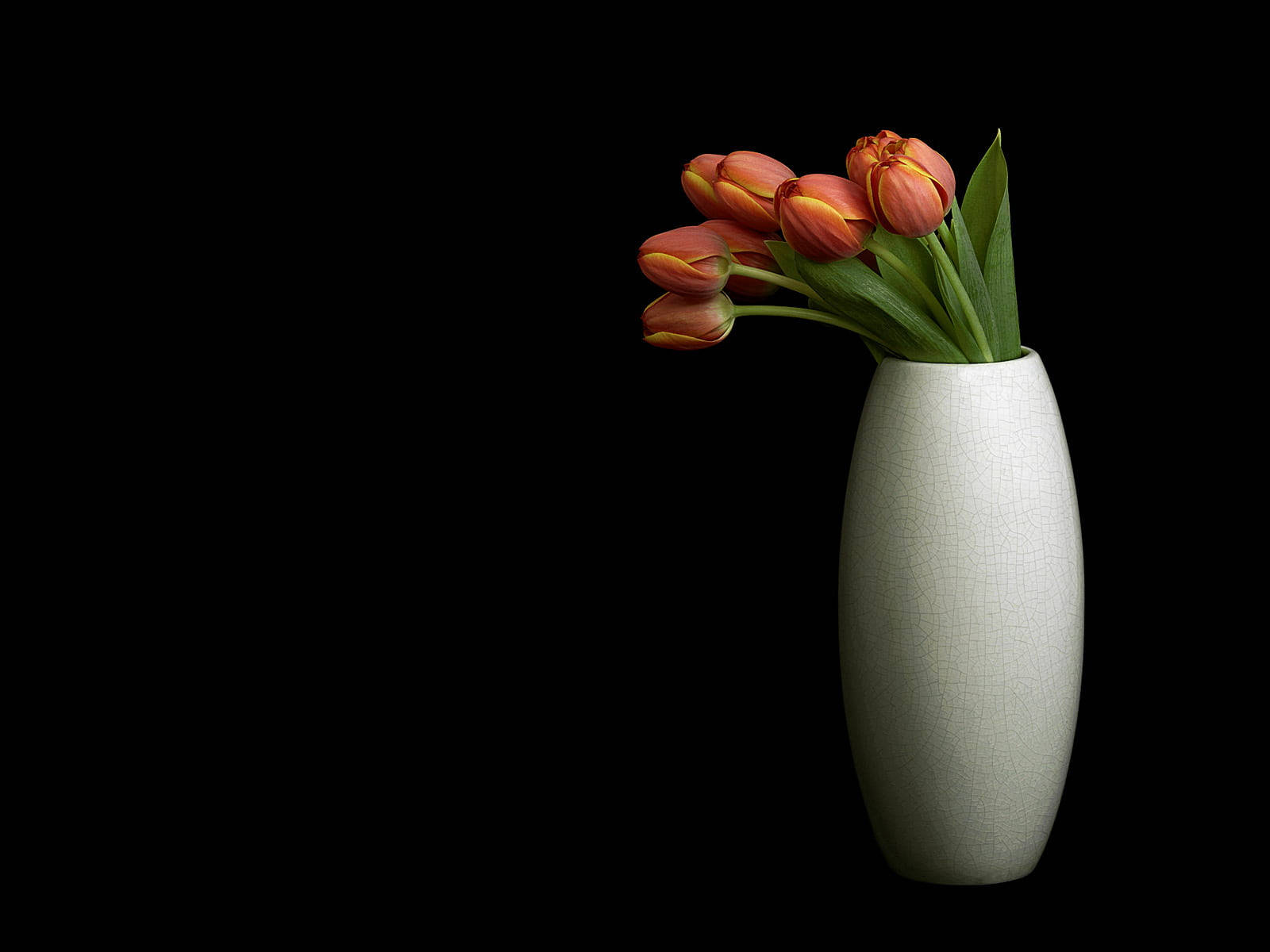 white crackled vase, vibrant orange tulips, stark black background, HD Desktop Wallpaper