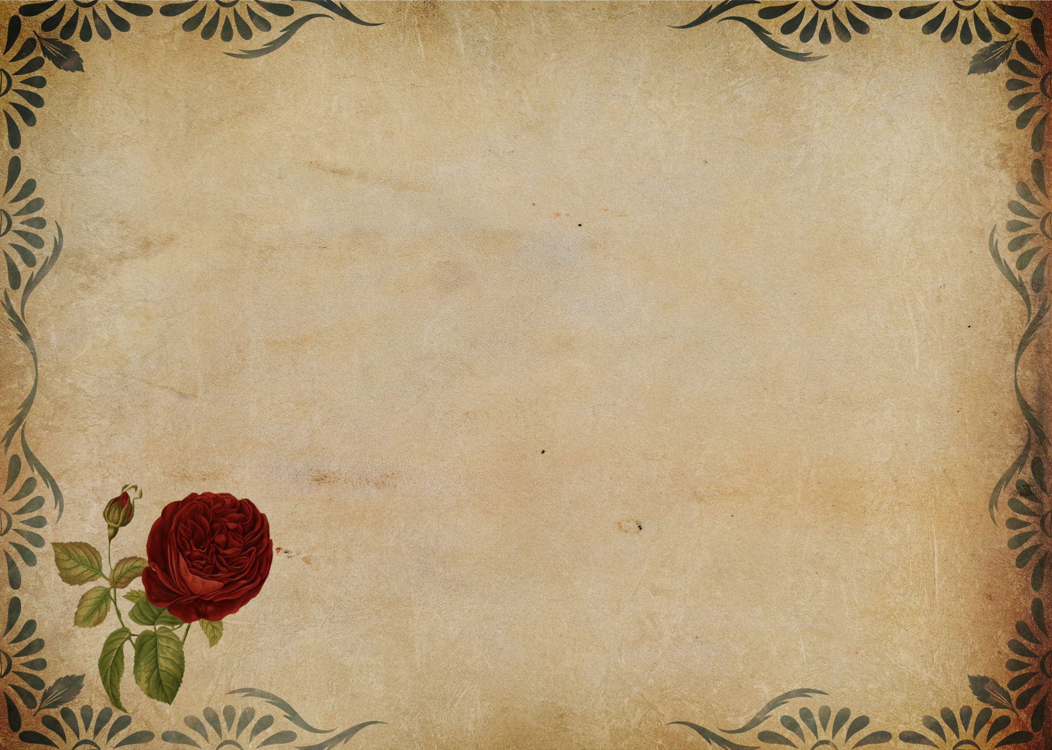 vintage parchment, ornate dark floral borders, deep red rose, 2K Desktop Wallpaper