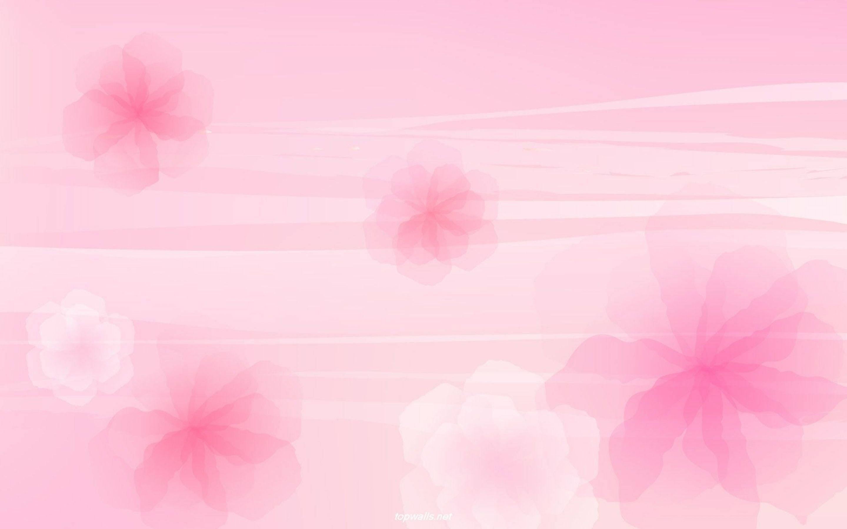 floral aesthetic, soft pink, pastel gradient, 2K Desktop Wallpaper