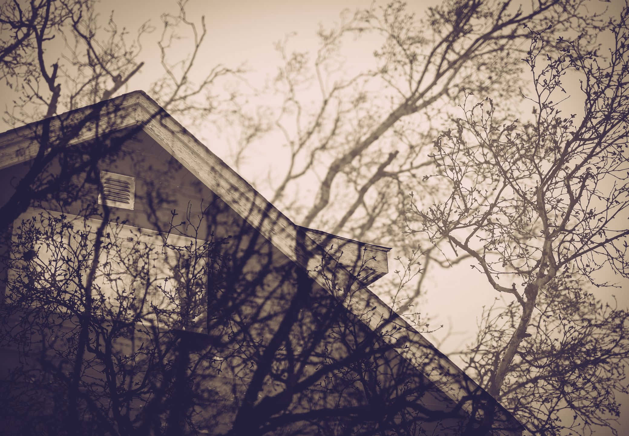 bad vibes 2079, sepia-toned, bare tree branches, Full HD Desktop Wallpaper