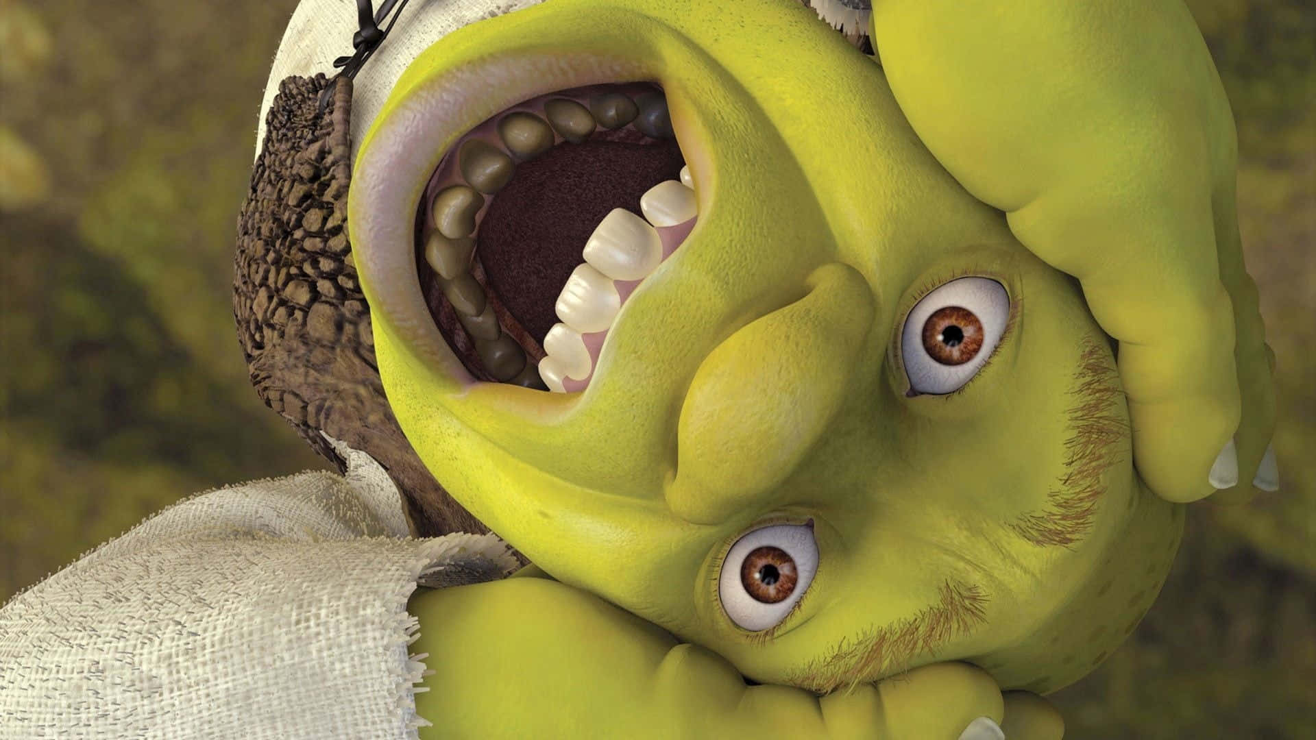 Shrek, close-up, smiling, Full HD Desktop Wallpaper