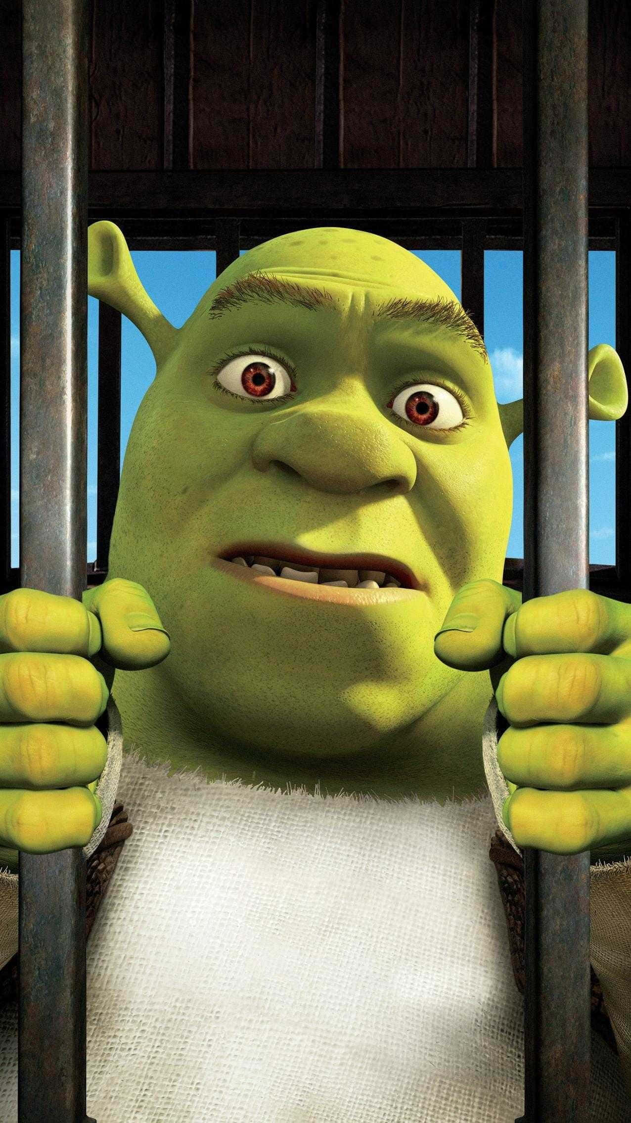 Shrek, rusty jail bars, bright blue sky, Full HD Phone Wallpaper