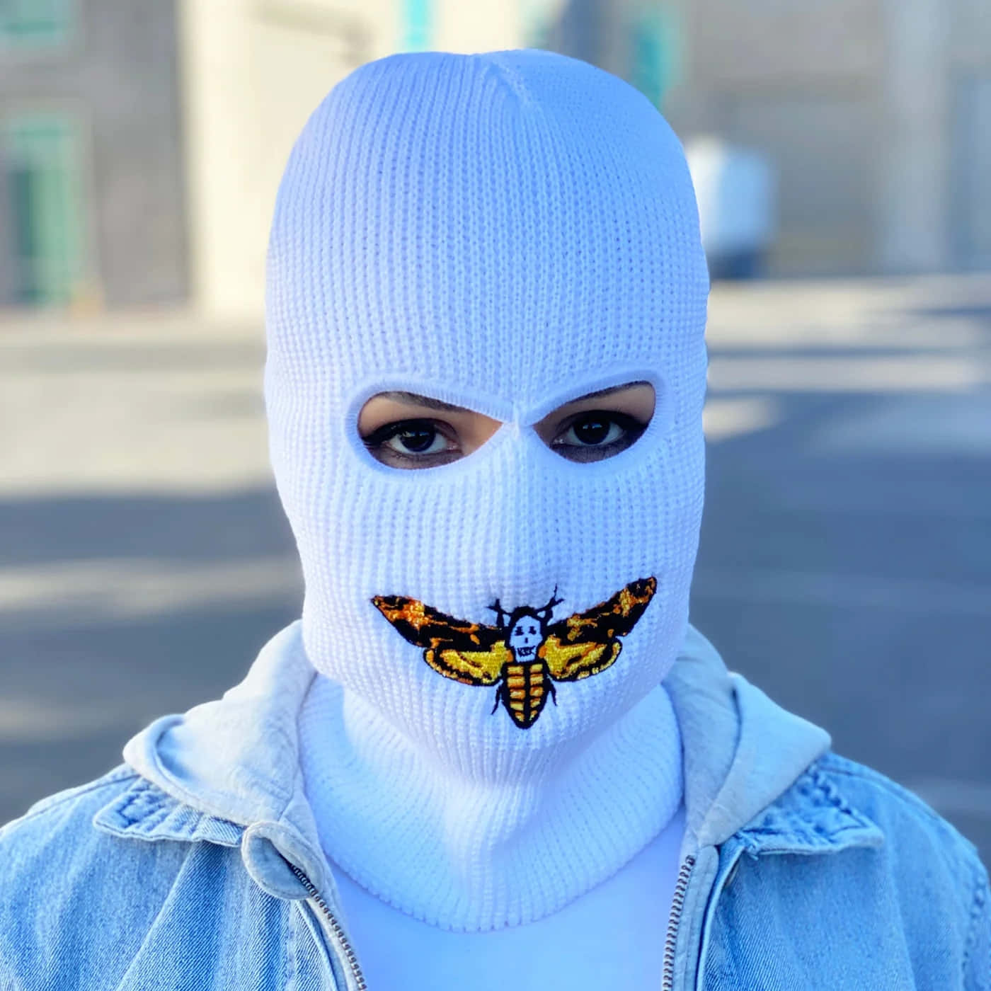 light blue knit balaclava, skull-faced moth patch, outdoors, HD Desktop Wallpaper