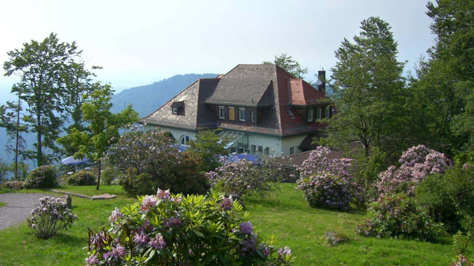 Baden cityscape, red roof, lush green trees, HD Desktop Wallpaper