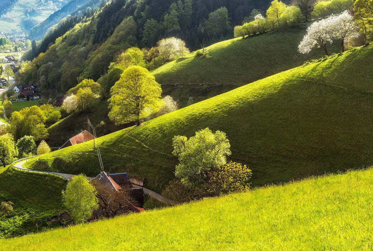 Baden Switzerland, rolling hills, vibrant green grass, SD Desktop Wallpaper