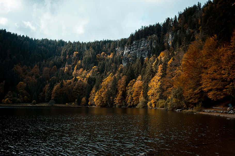 autumn lake, forested hills, cloudy sky, SD Desktop Wallpaper