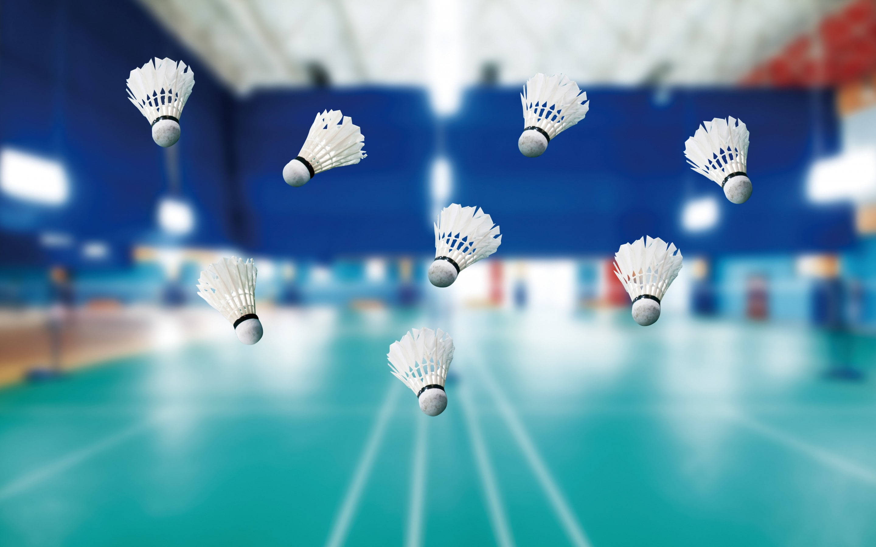 badminton shuttlecocks, teal badminton court, blue walls, 2K Desktop Wallpaper