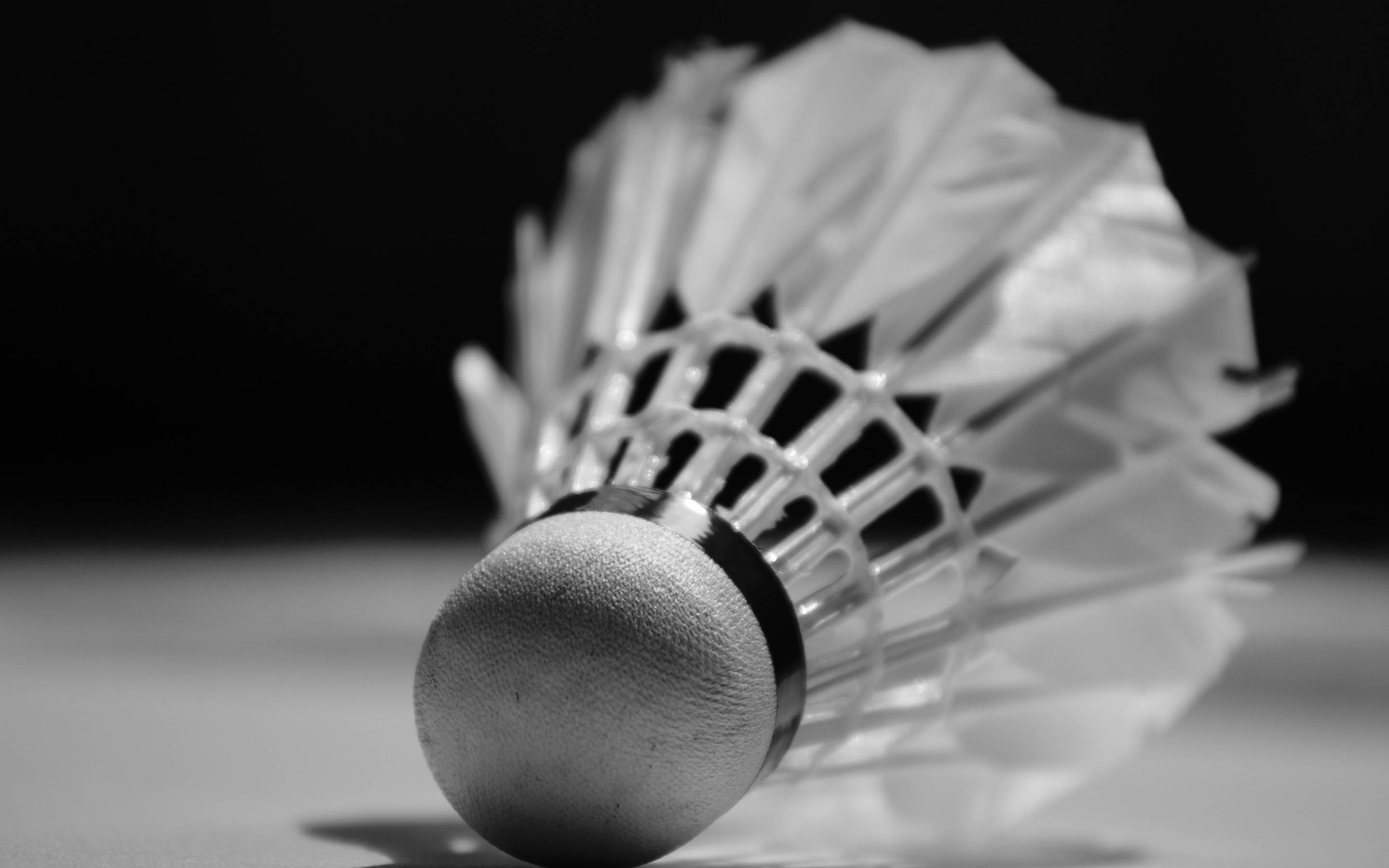 badminton shuttlecock, monochrome, reflective surface, 2K Desktop Wallpaper