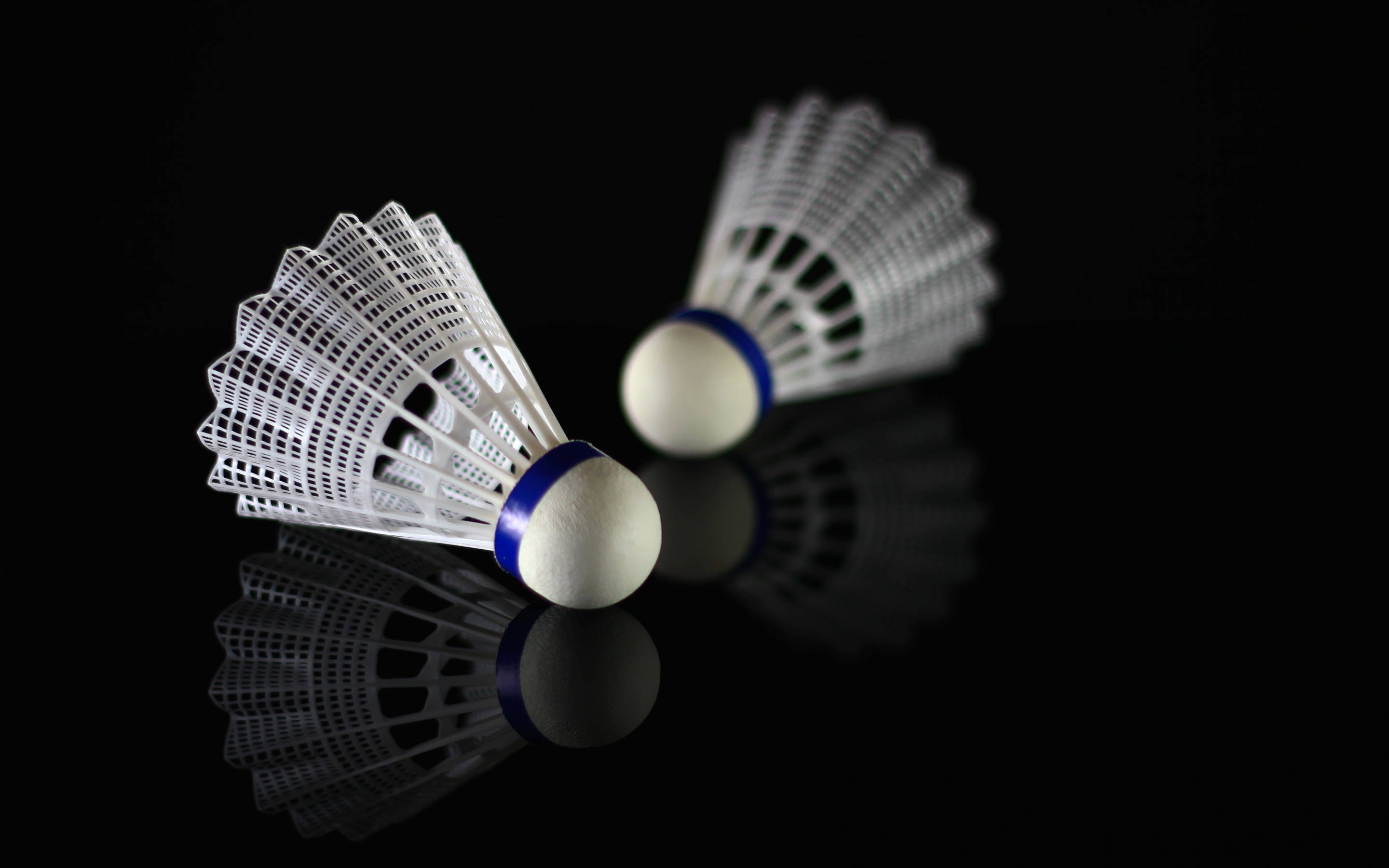 white shuttlecock, blue bands, glossy black surface, 2K Desktop Wallpaper
