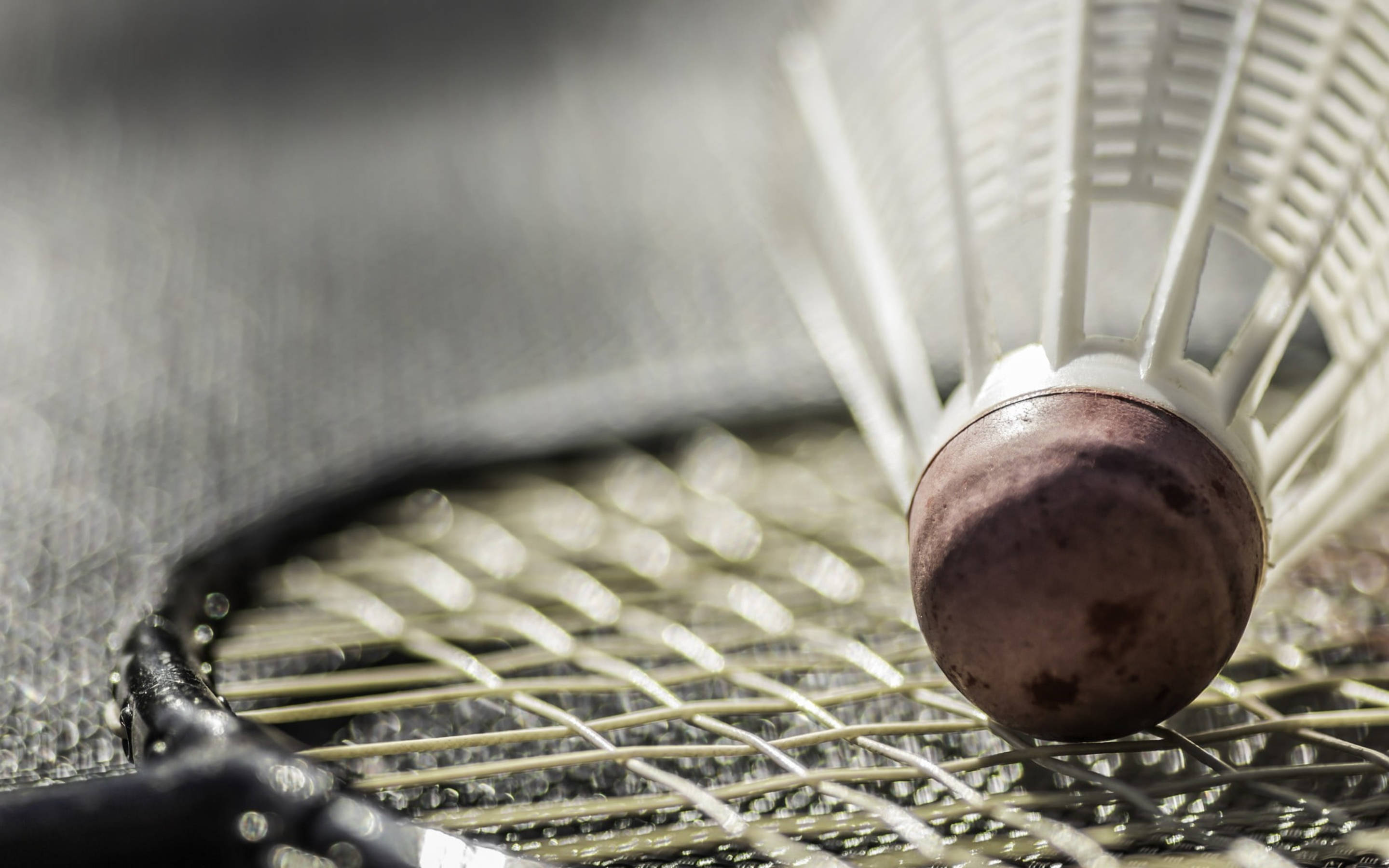worn out badminton shuttlecock, badminton racket strings, shallow depth of field, 2K Desktop Wallpaper