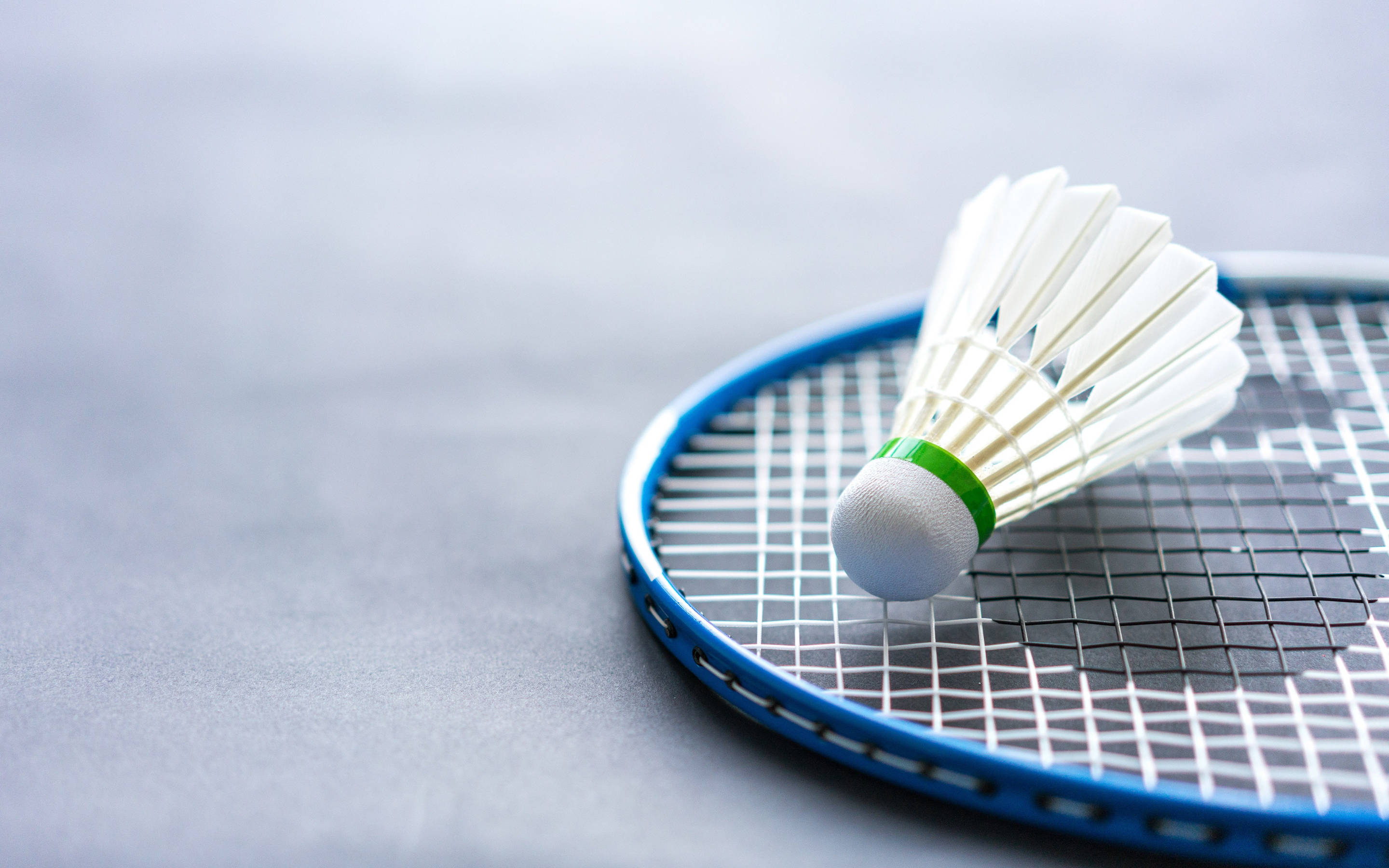 white shuttlecock, green band, blue badminton racket, 2K Desktop Wallpaper