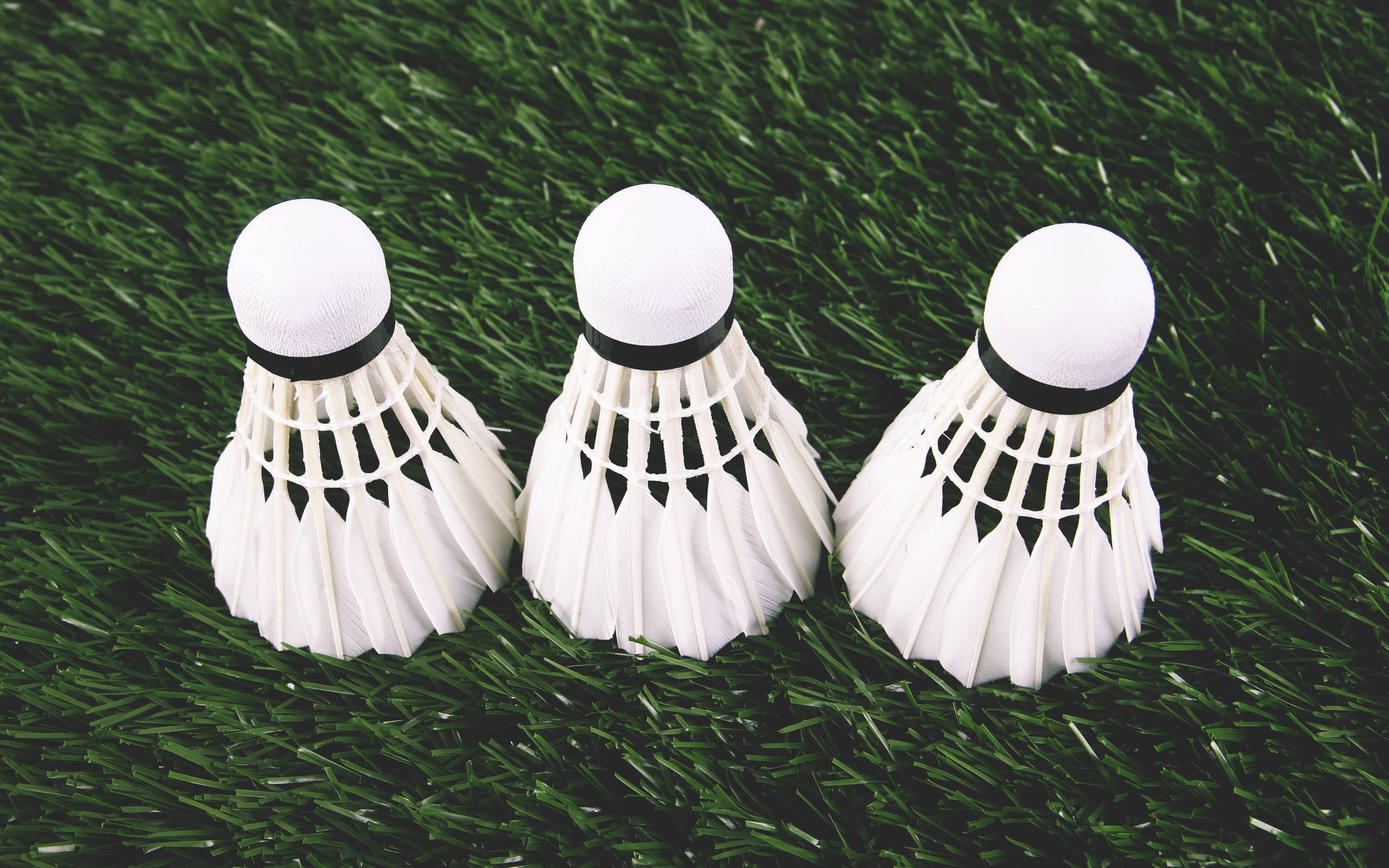 badminton, three white clean shuttlecock, vibrant green artificial turf, 2K Desktop Wallpaper