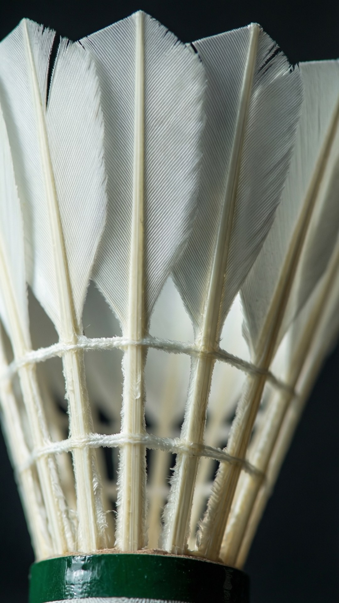 white badminton shuttlecock, feathers, string, Full HD Phone Wallpaper