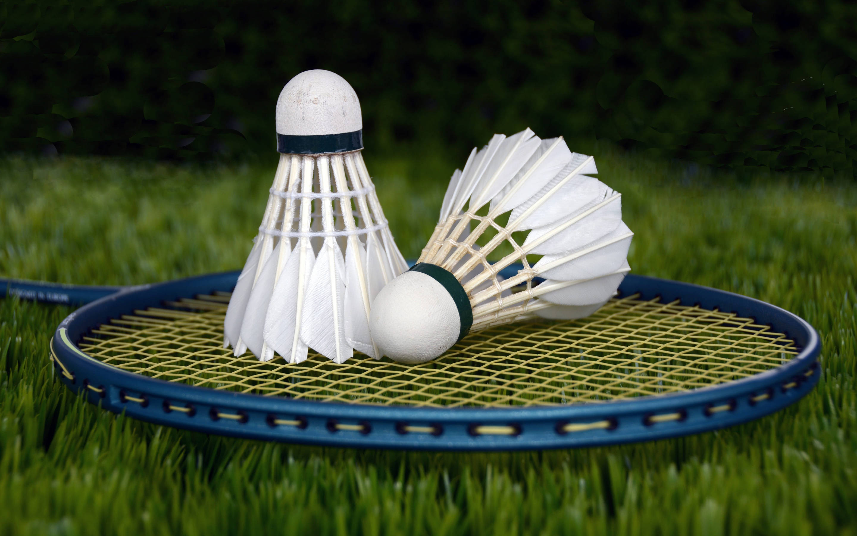 white shuttlecocks, blue and yellow badminton racket, vibrant green grass, 2K Desktop Wallpaper