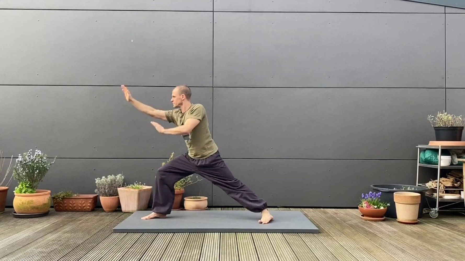 Bagua Yoga Mat, warrior pose, potted plants, HD Desktop Wallpaper