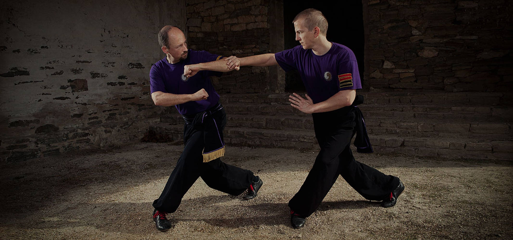 Bagua, purple uniforms, grappling technique, Full HD Desktop Wallpaper