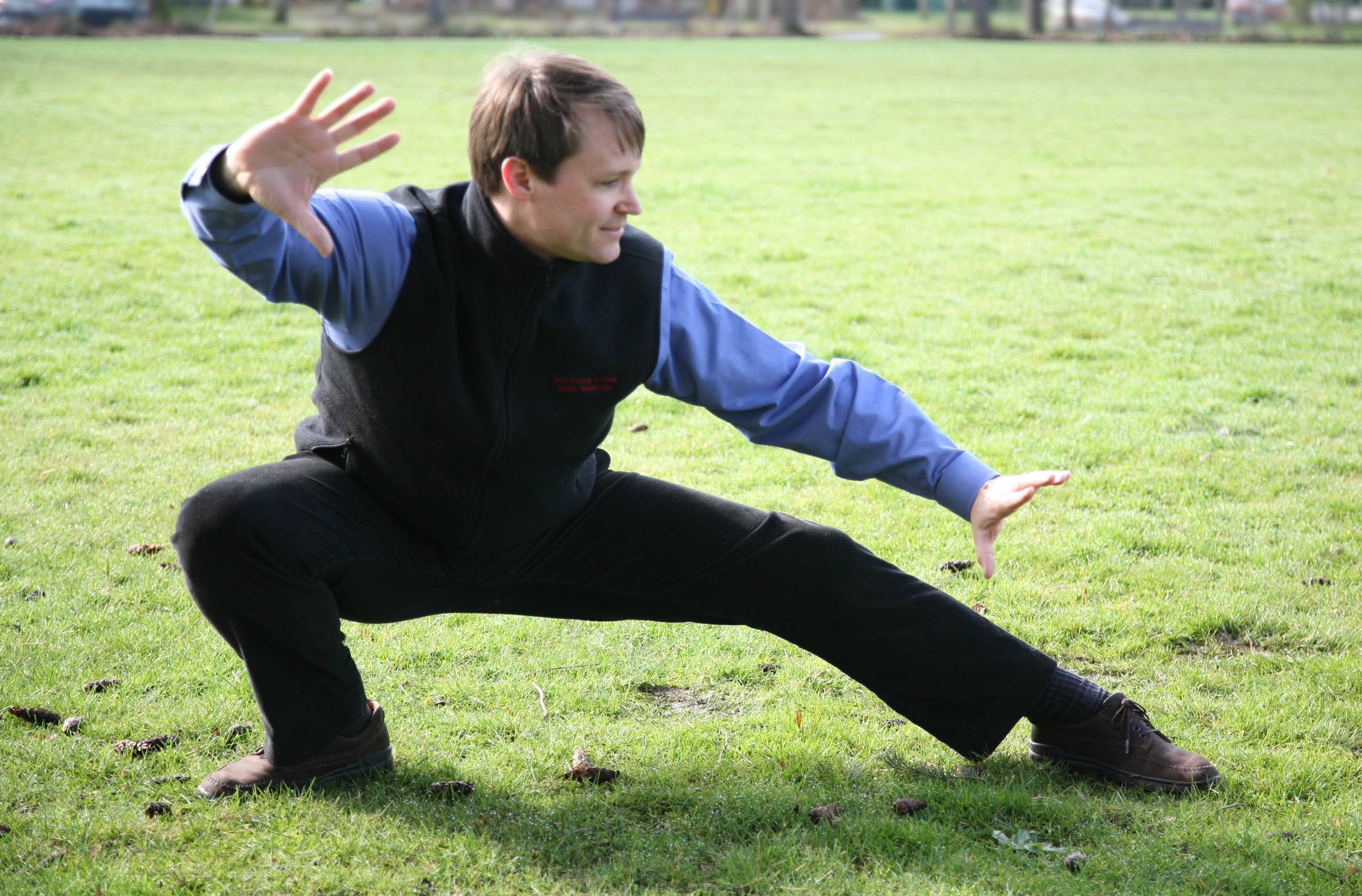 Bagua, crouching stance, black vest, Full HD Desktop Wallpaper