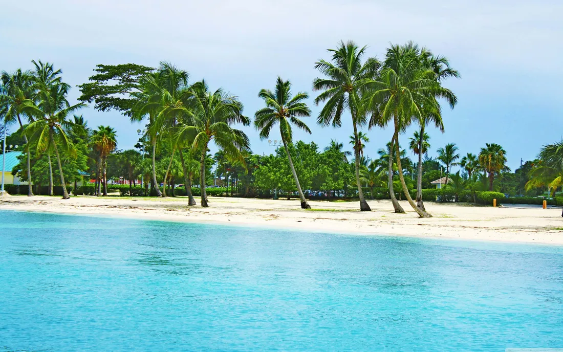 Bahamas Beach