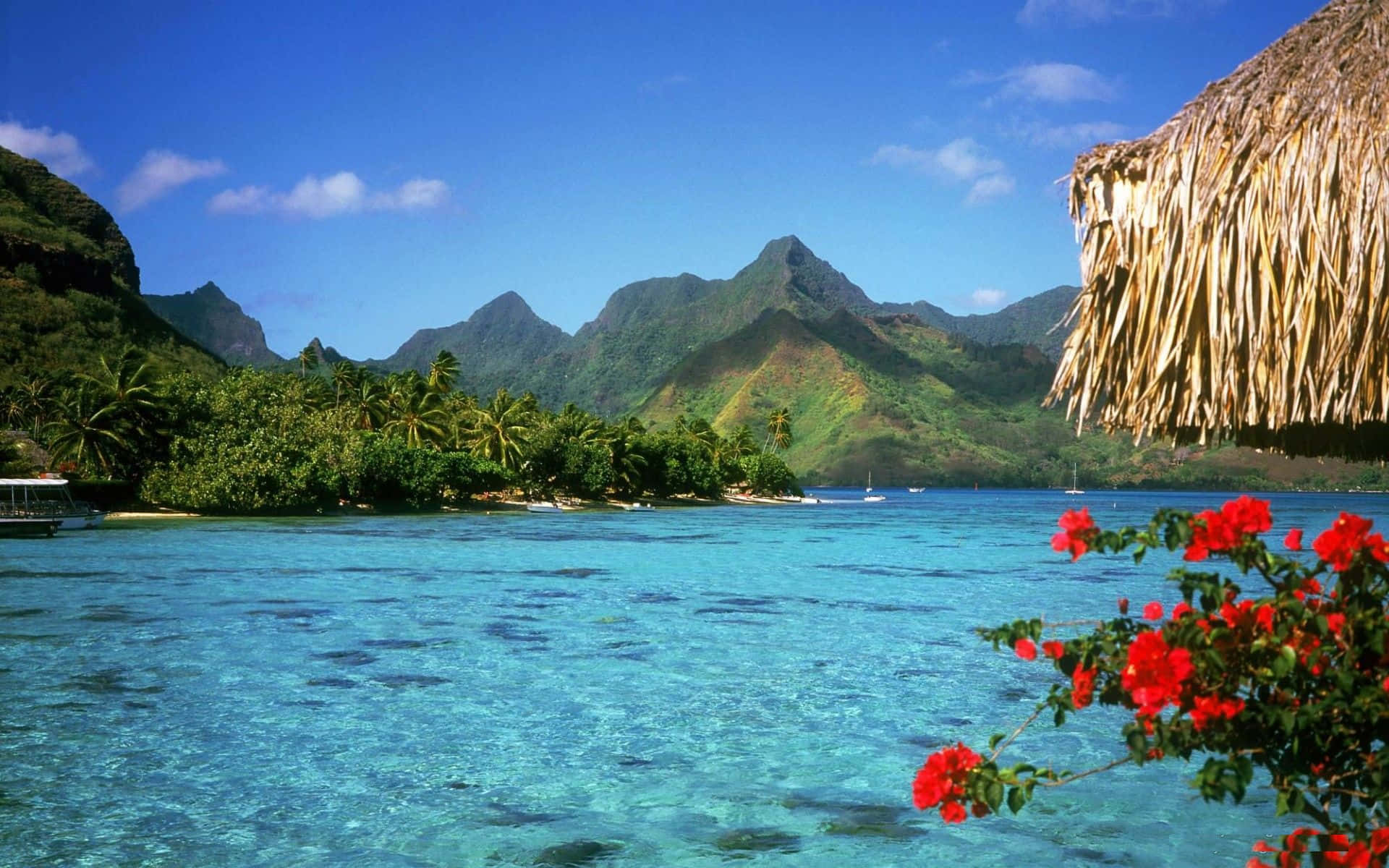 Bahamas Beach, turquoise waters, lush green mountains, Full HD Desktop Wallpaper