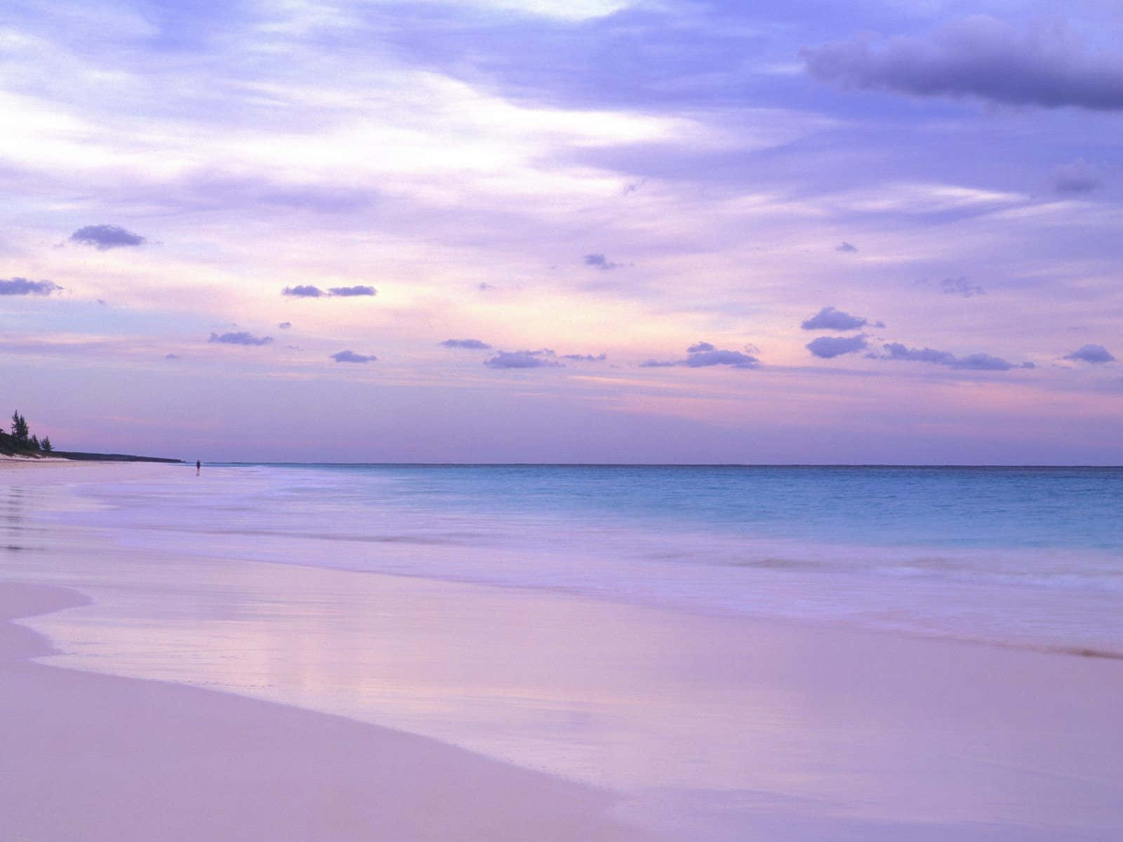 Bahamas Beach, twilight, soft pink and purple hues, HD Desktop Wallpaper