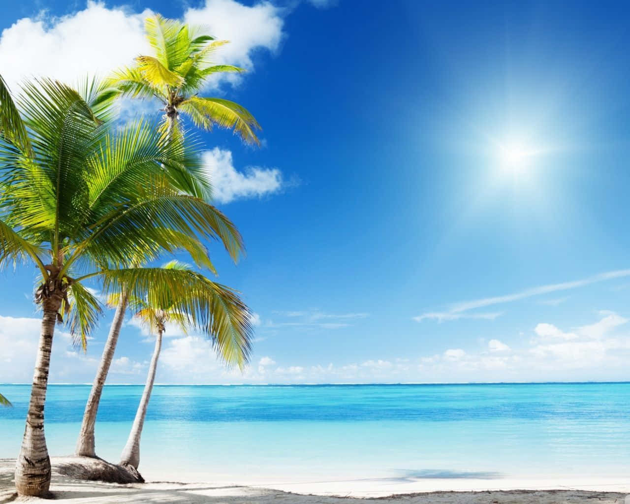 Bahamas Beach, crystal clear waters, palm trees, HD Desktop Wallpaper