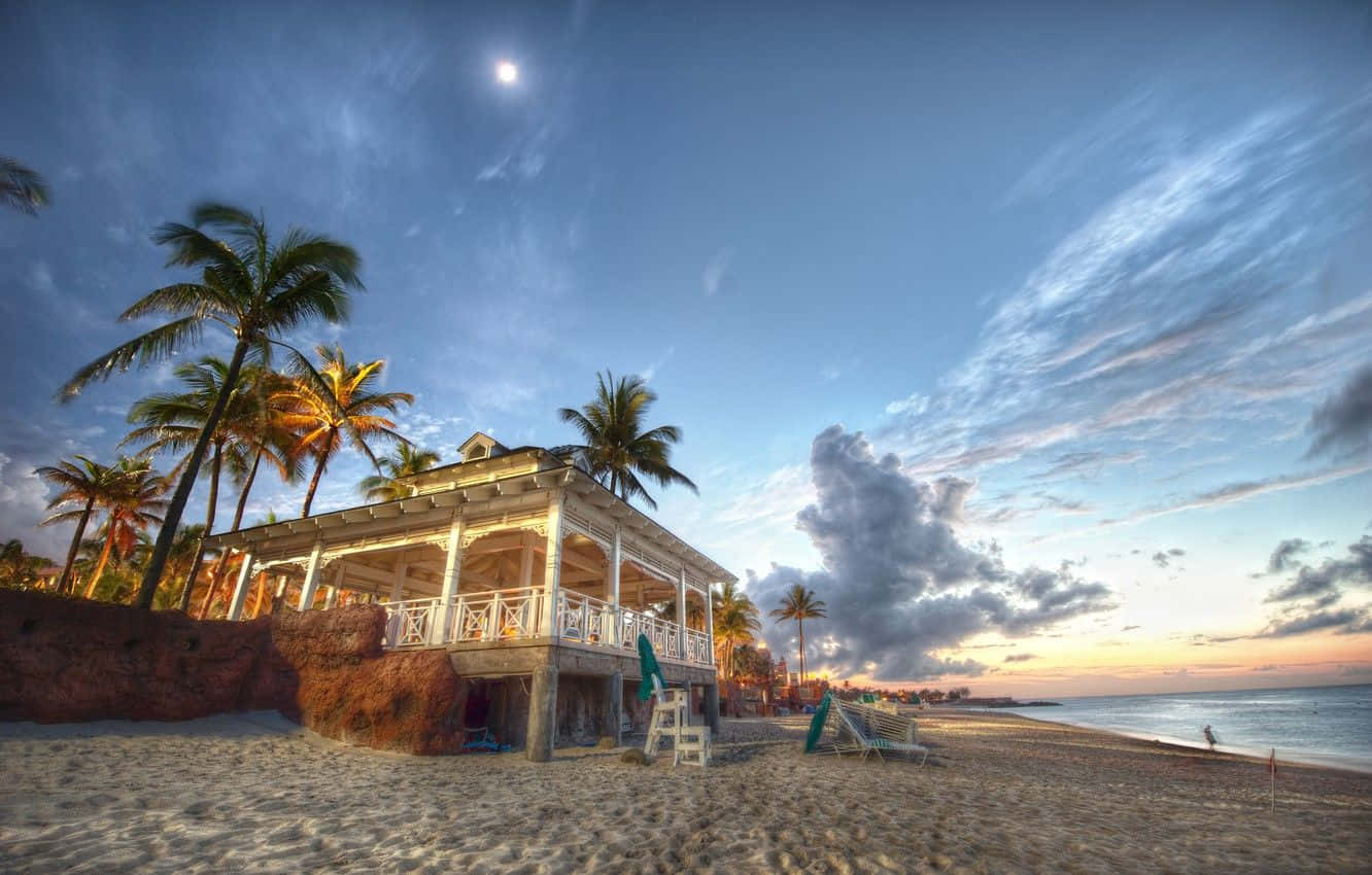 Bahamas Beach, white railings, palm trees, HD Desktop Wallpaper