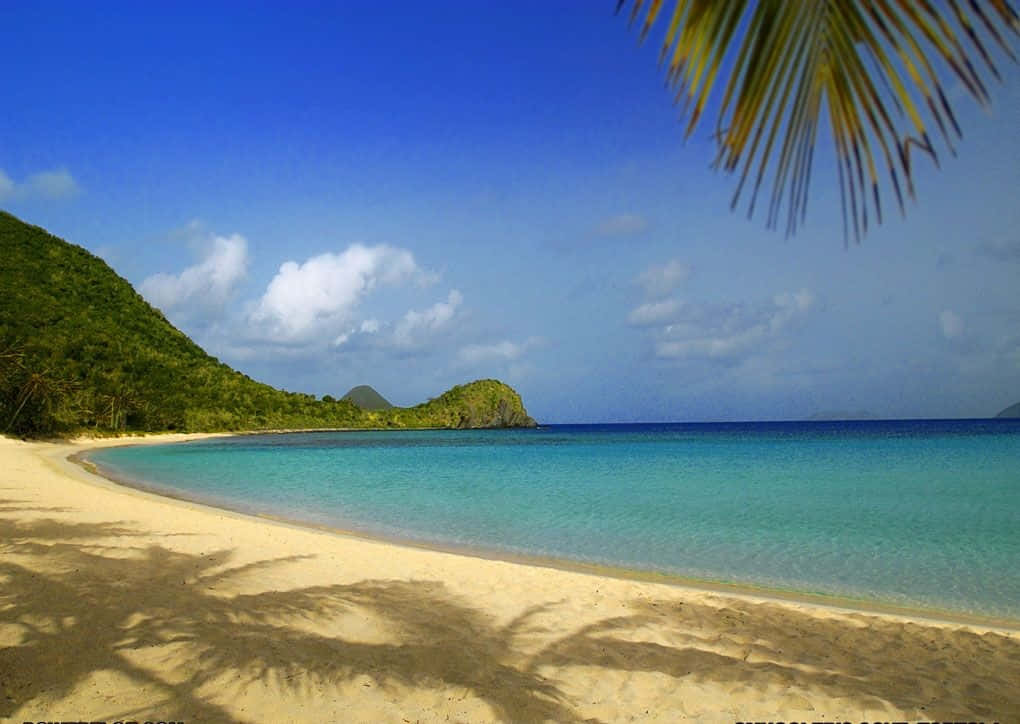 Bahamas Beach, turquoise waters, golden sand, SD Desktop Wallpaper