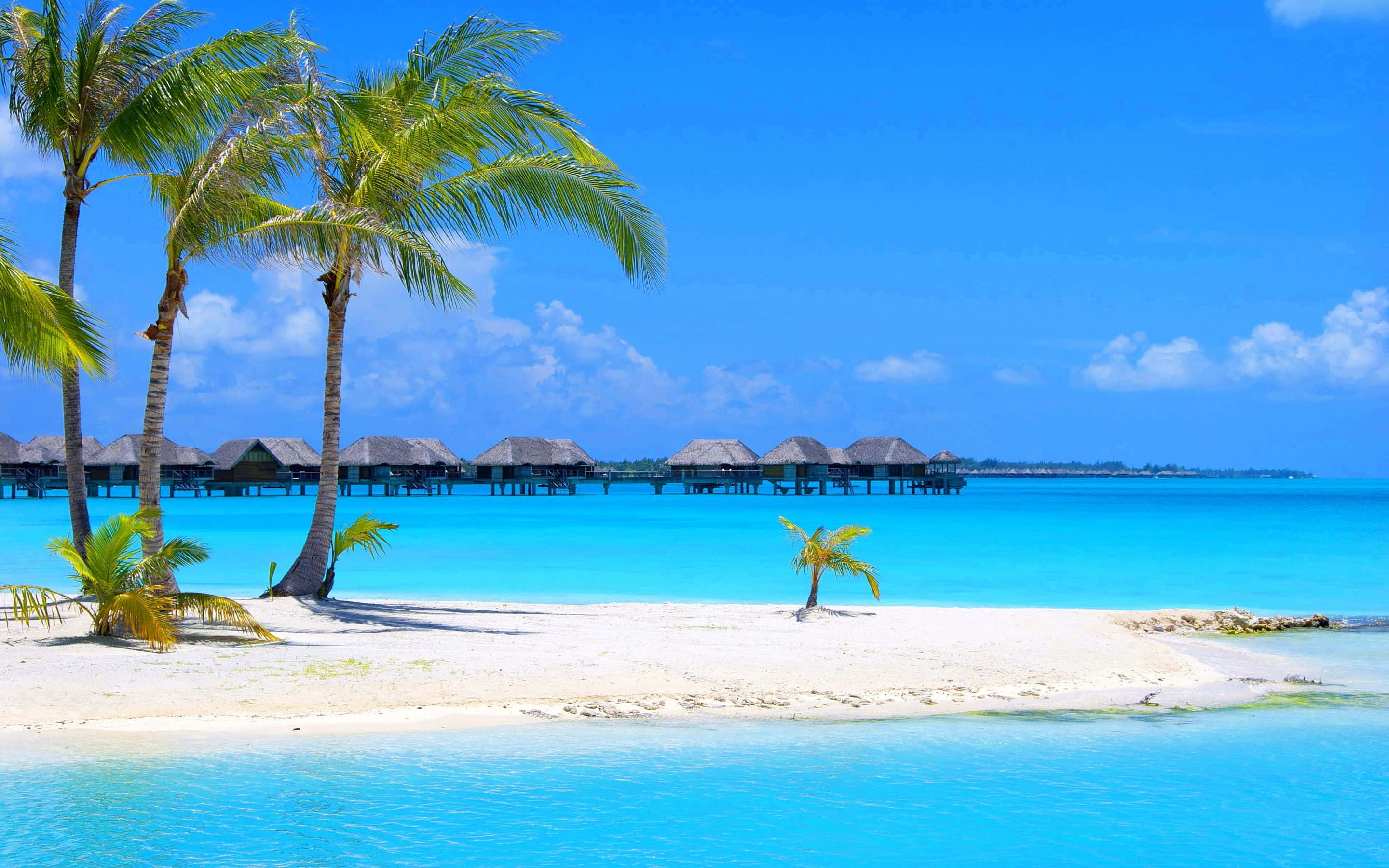Bahamas Beach, white sand, turquoise water, 2K Desktop Wallpaper