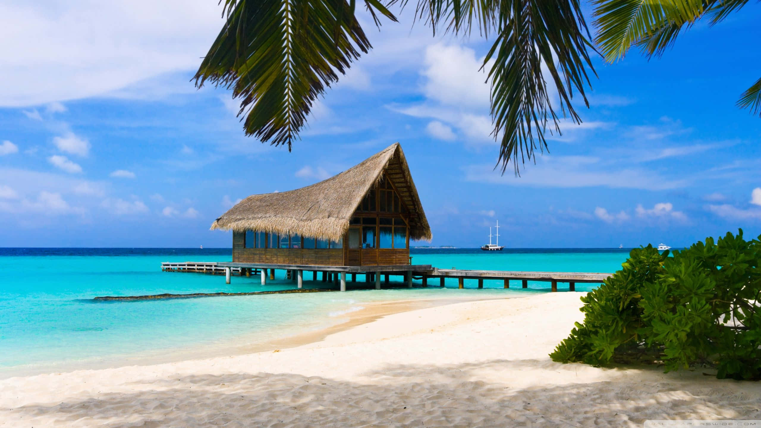 Bahamas Beach, wooden overwater bungalow, thatched roof, 2K Desktop Wallpaper