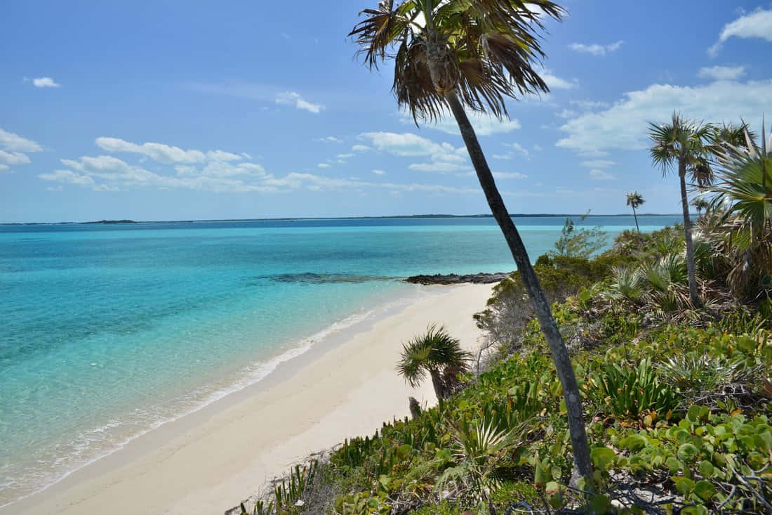 Bahamas Island, turquoise waters, gentle waves, SD Desktop Wallpaper
