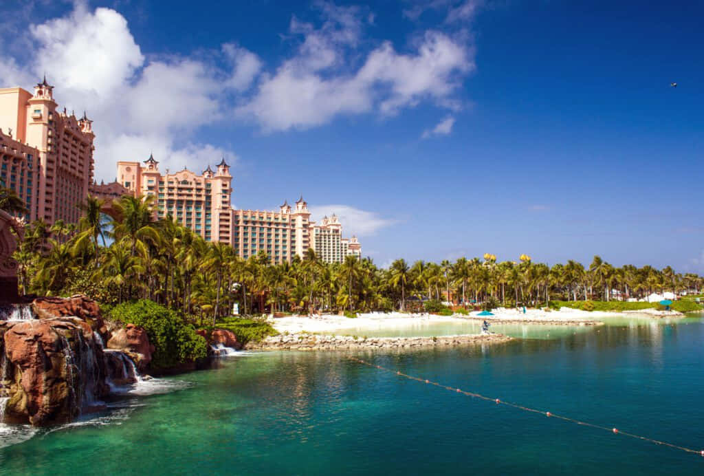 Bahamas Island, pink resort hotel, lush palm trees, SD Desktop Wallpaper