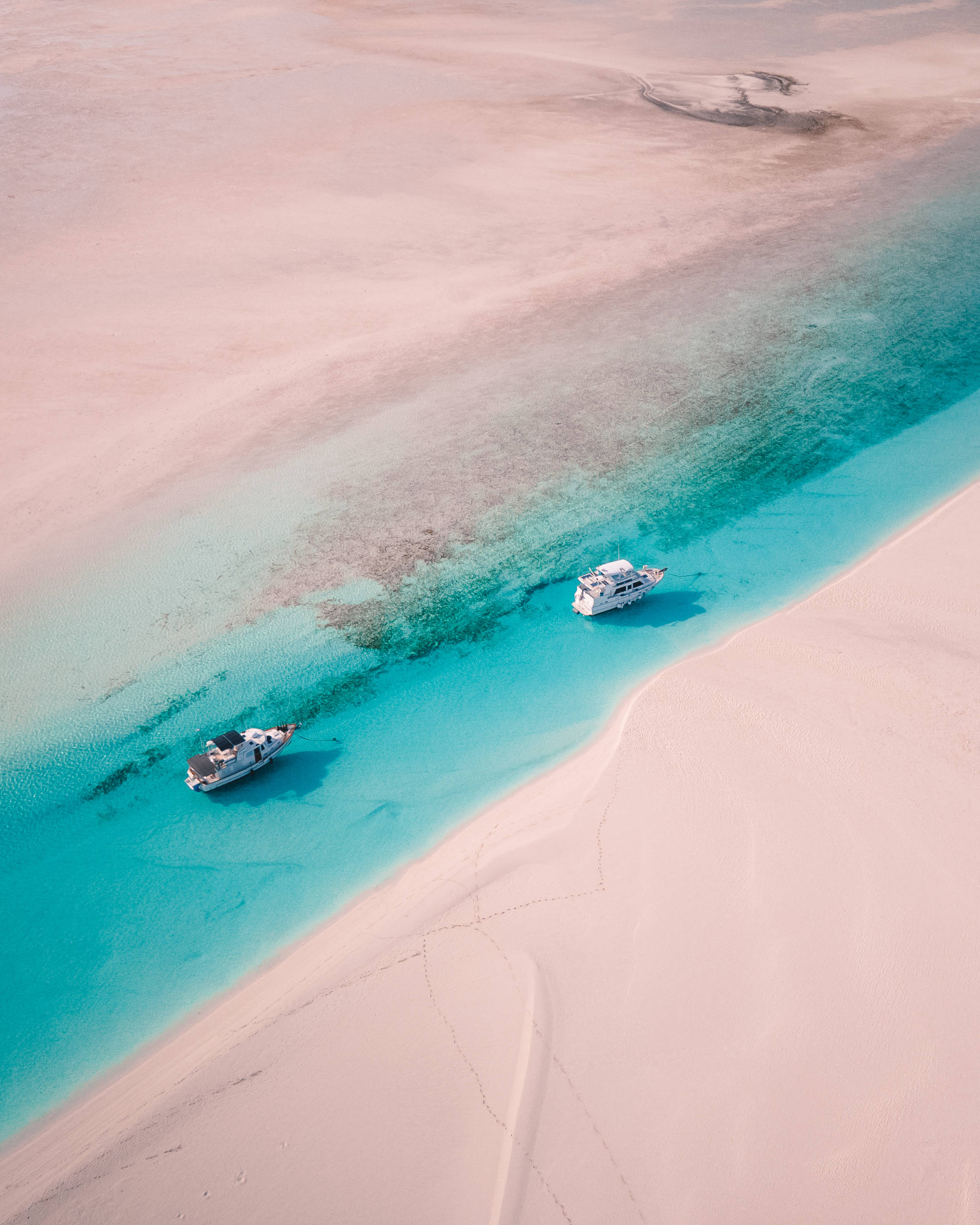 pink sandbar beach, Bahamas, vibrant turquoise water, 2K Phone Wallpaper