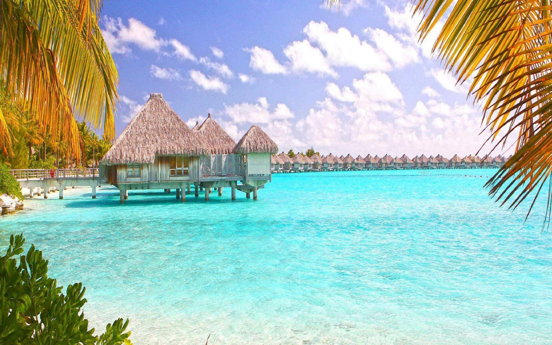Bahamas, overwater bungalows, thatched roofs, Full HD Desktop Wallpaper