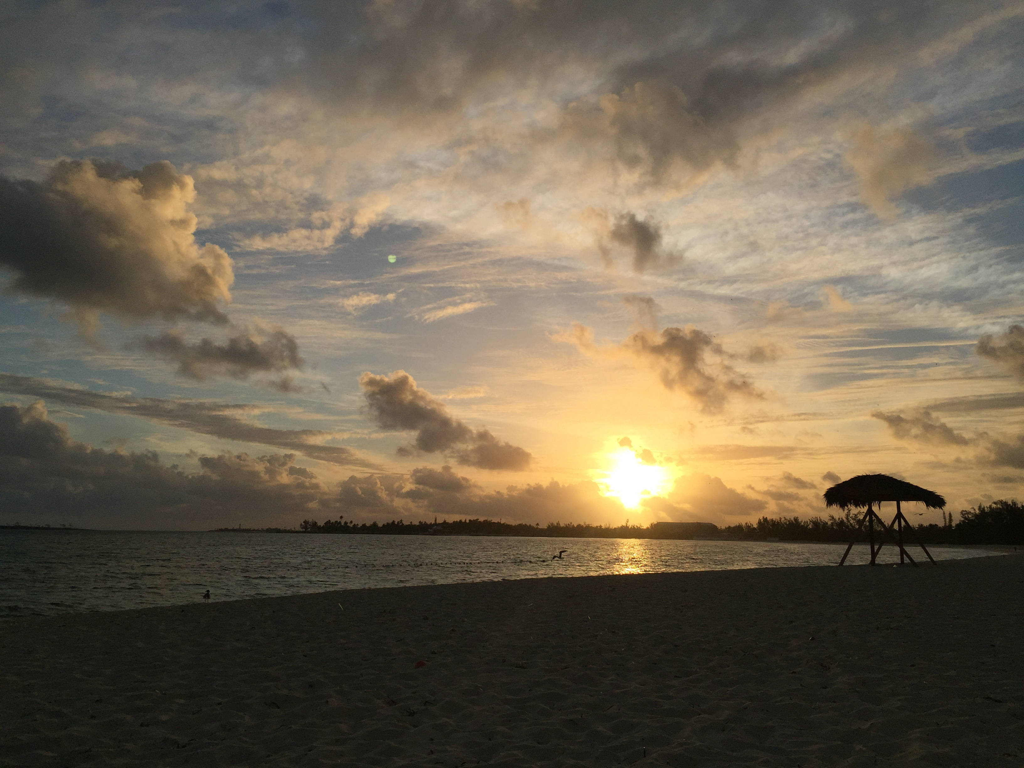sunset, tropical beach, golden light, 2K Desktop Wallpaper