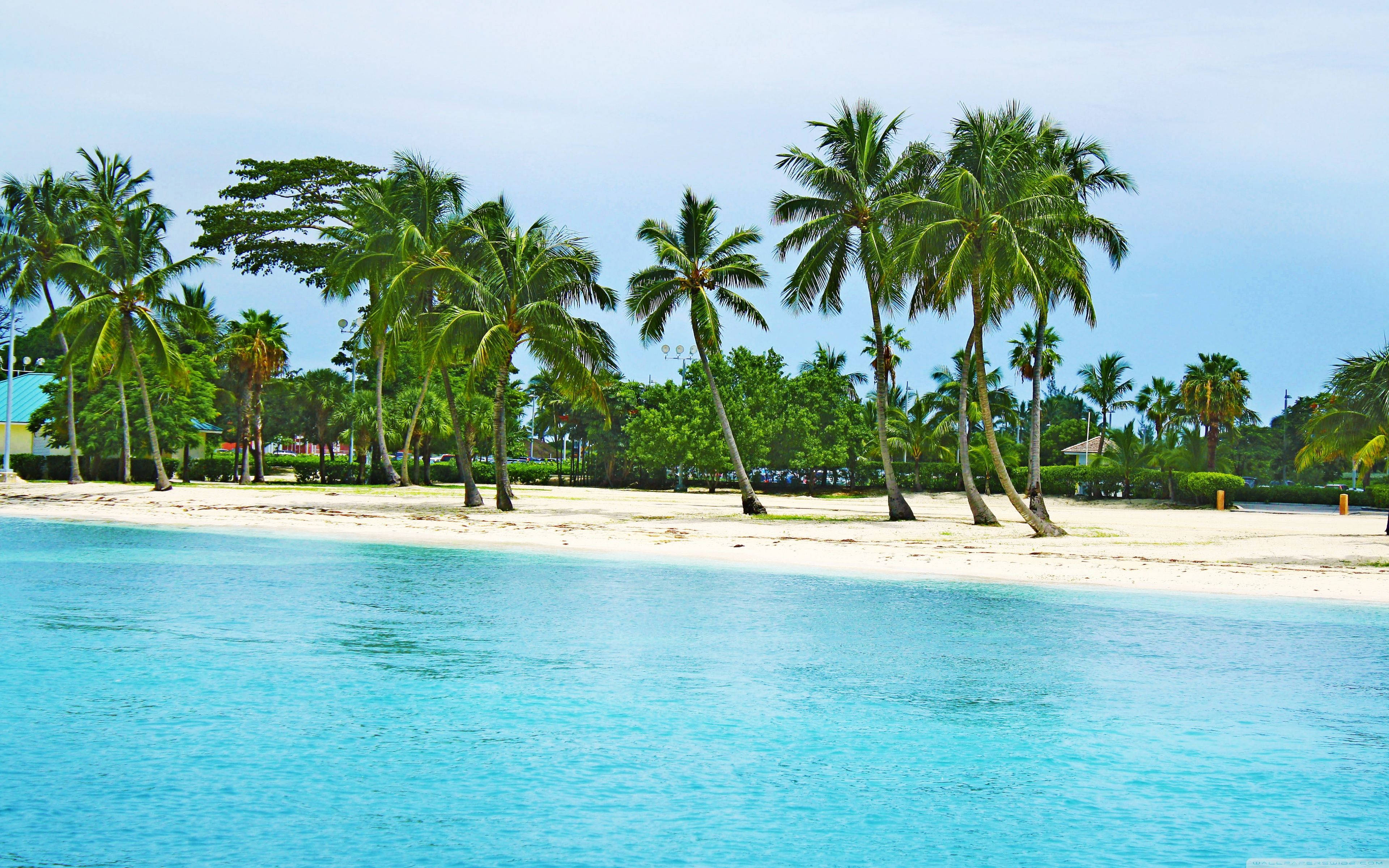 Bahamas, turquoise ocean, white sandy beach, 4K Desktop Wallpaper