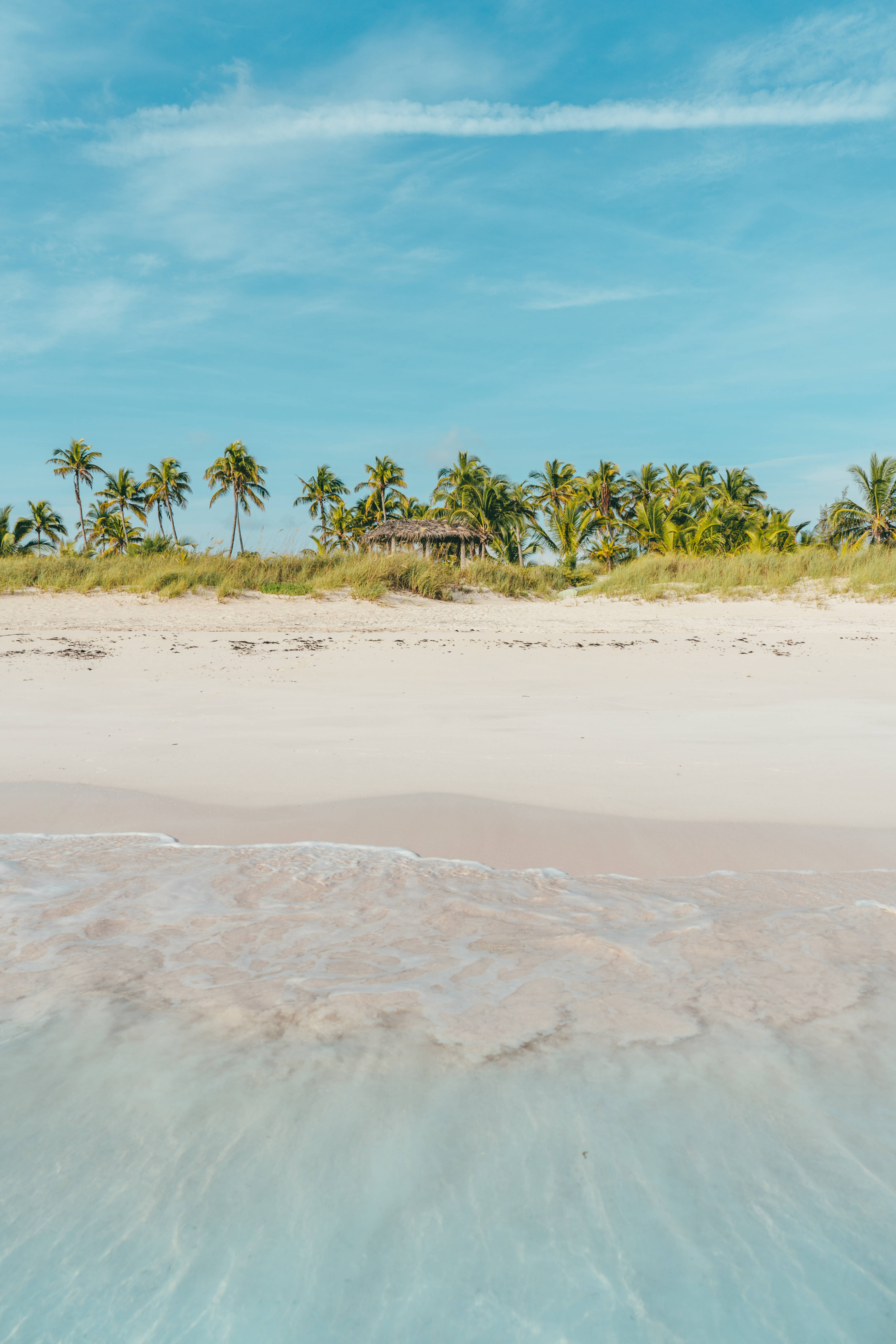 white sand beach, crystal clear turquoise water, lush green palm trees, 5K Phone Wallpaper