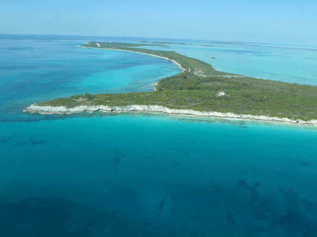 Bahamas, island, lush green, SD Desktop Wallpaper