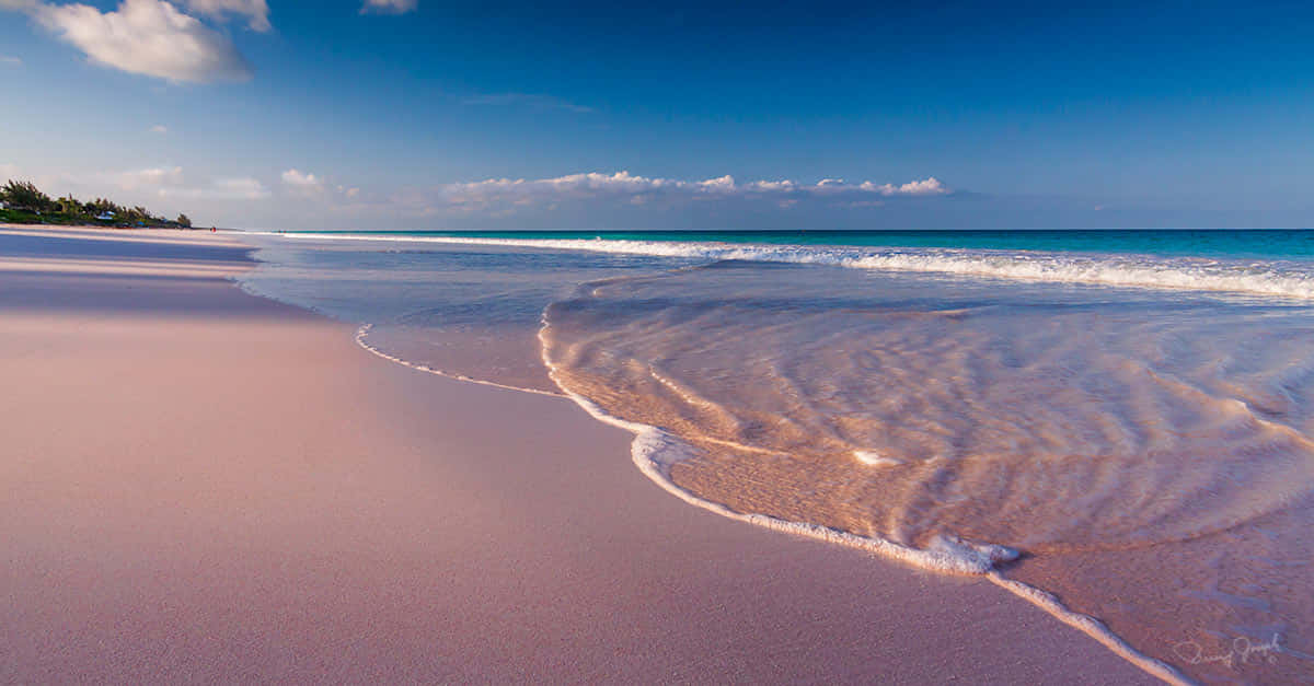 Bahamas, pink sand beach, gentle waves, SD Desktop Wallpaper