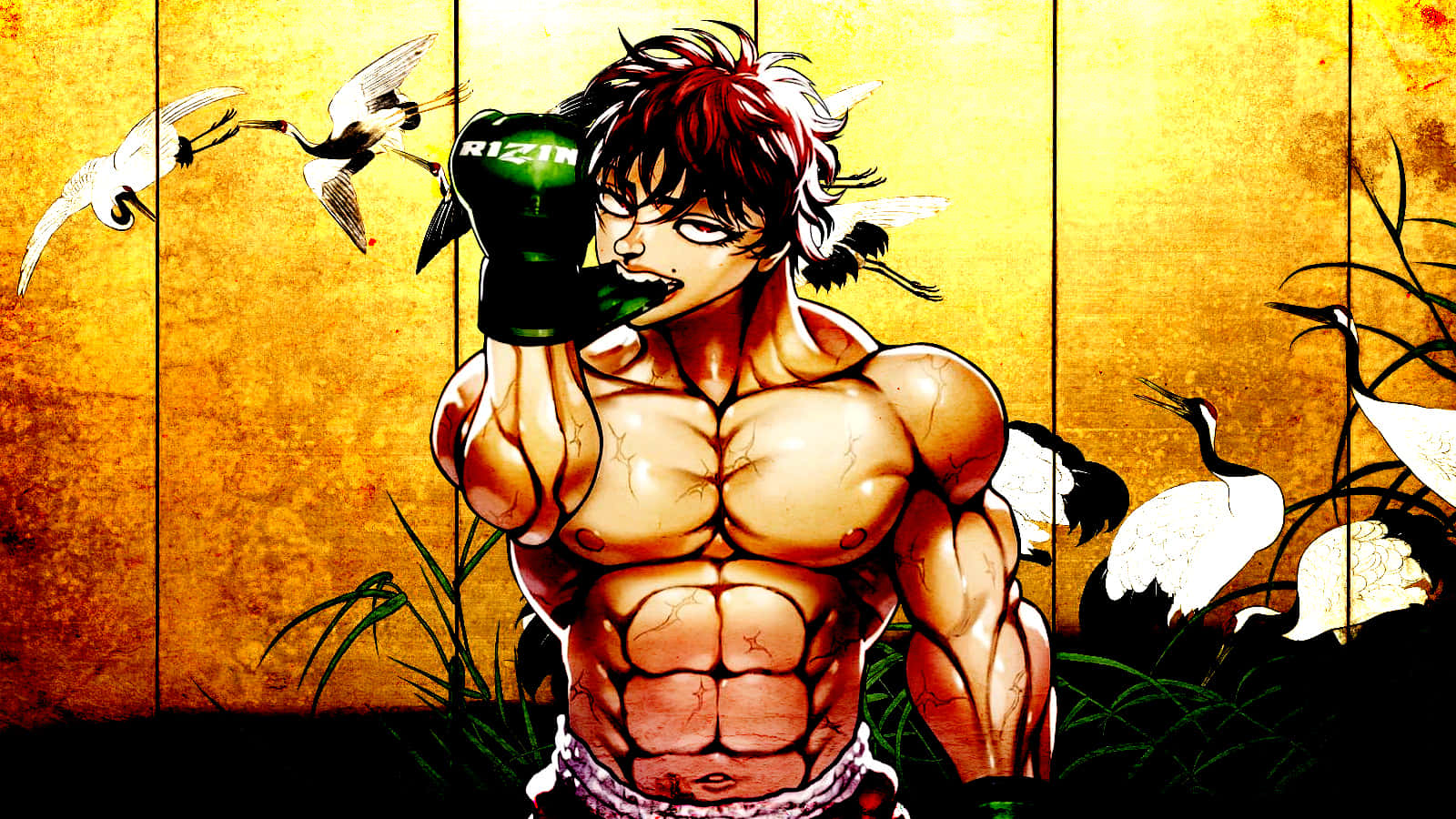Baki The Grappler, red hair, green glove, HD Desktop Wallpaper