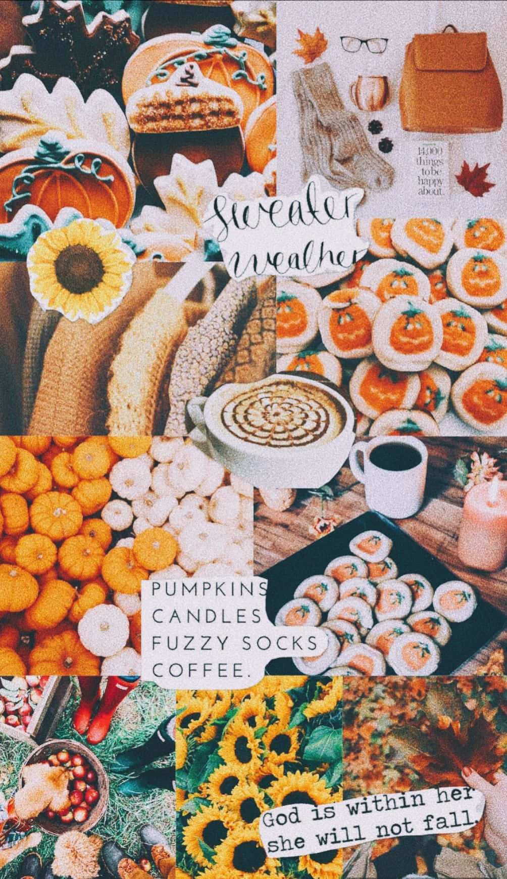 Baking iPhone, pumpkins, sunflowers, HD Phone Wallpaper