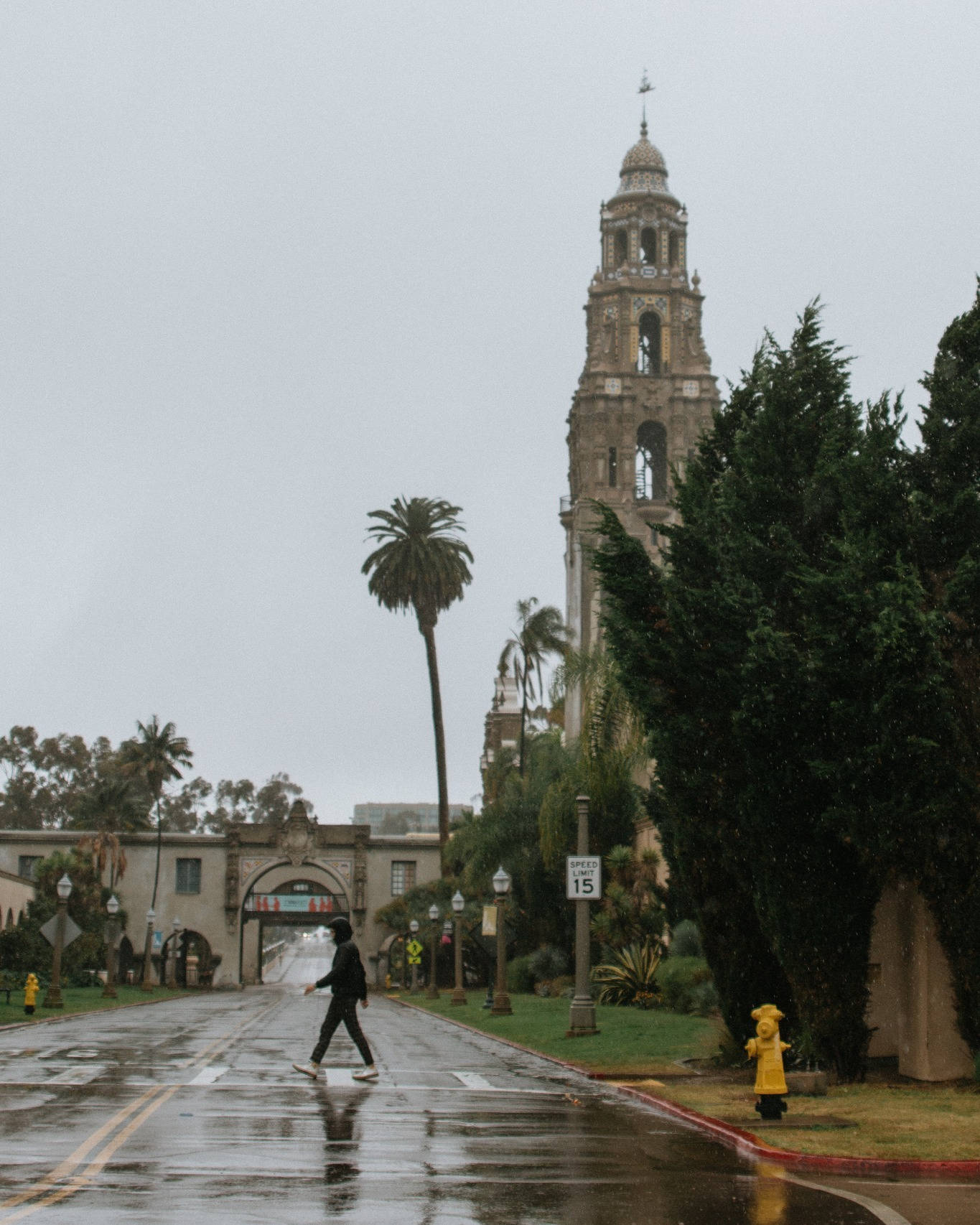 Balboa Park, rain-slicked street, historic stone tower, HD Phone Wallpaper