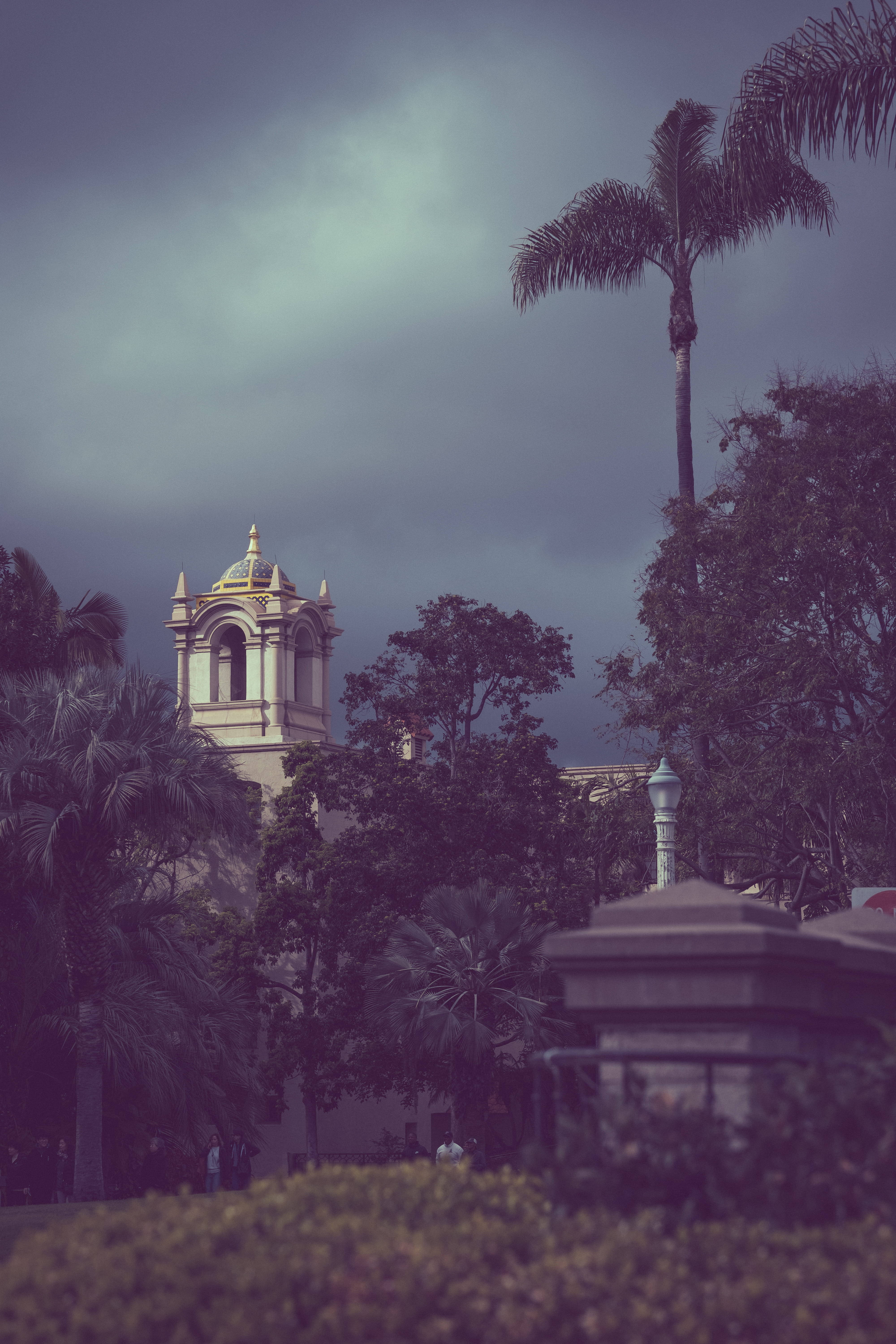 Balboa Park, church tower, palm trees, 5K Phone Wallpaper