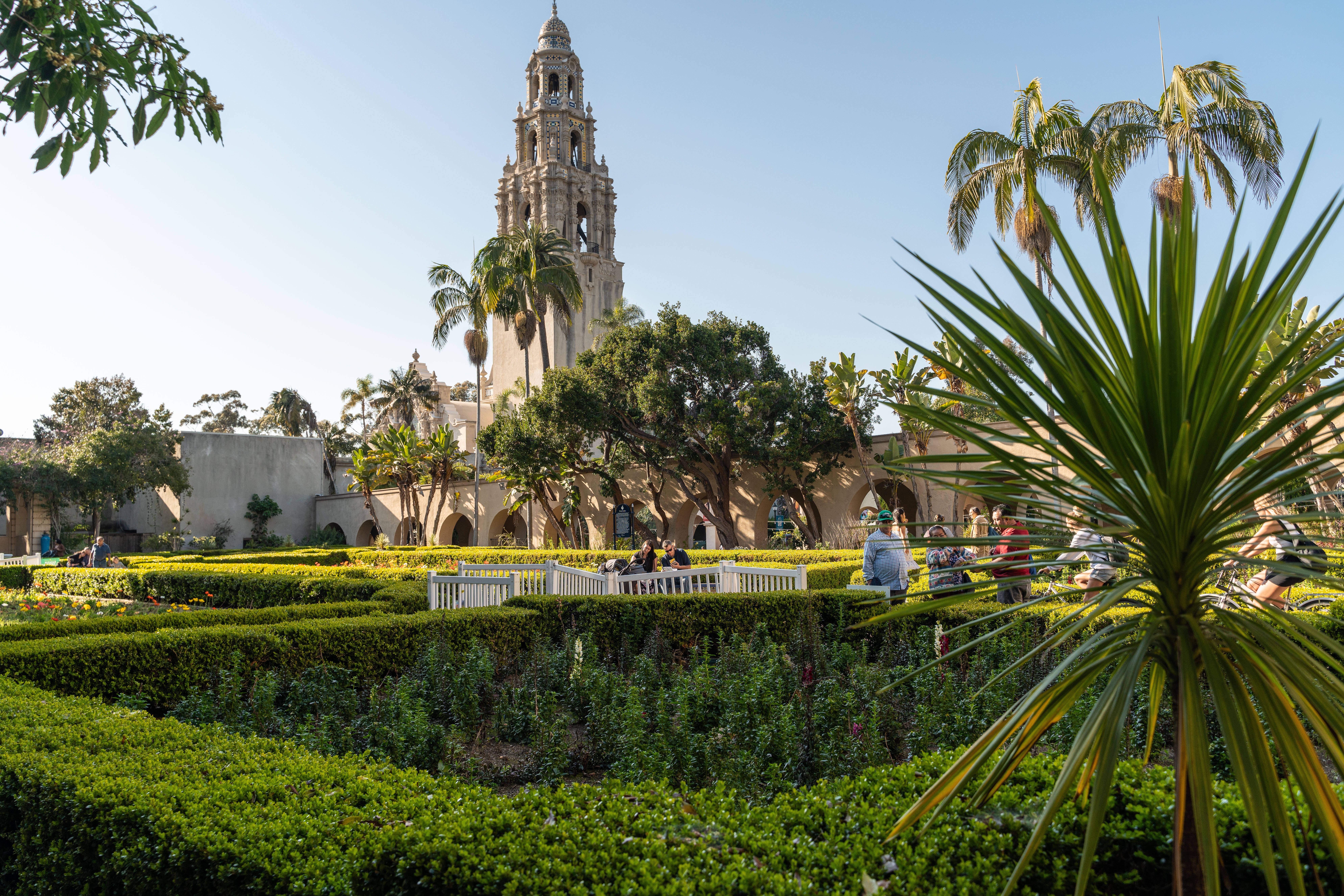 Balboa Park, Garden Grounds, historic tower, 8K Desktop Wallpaper