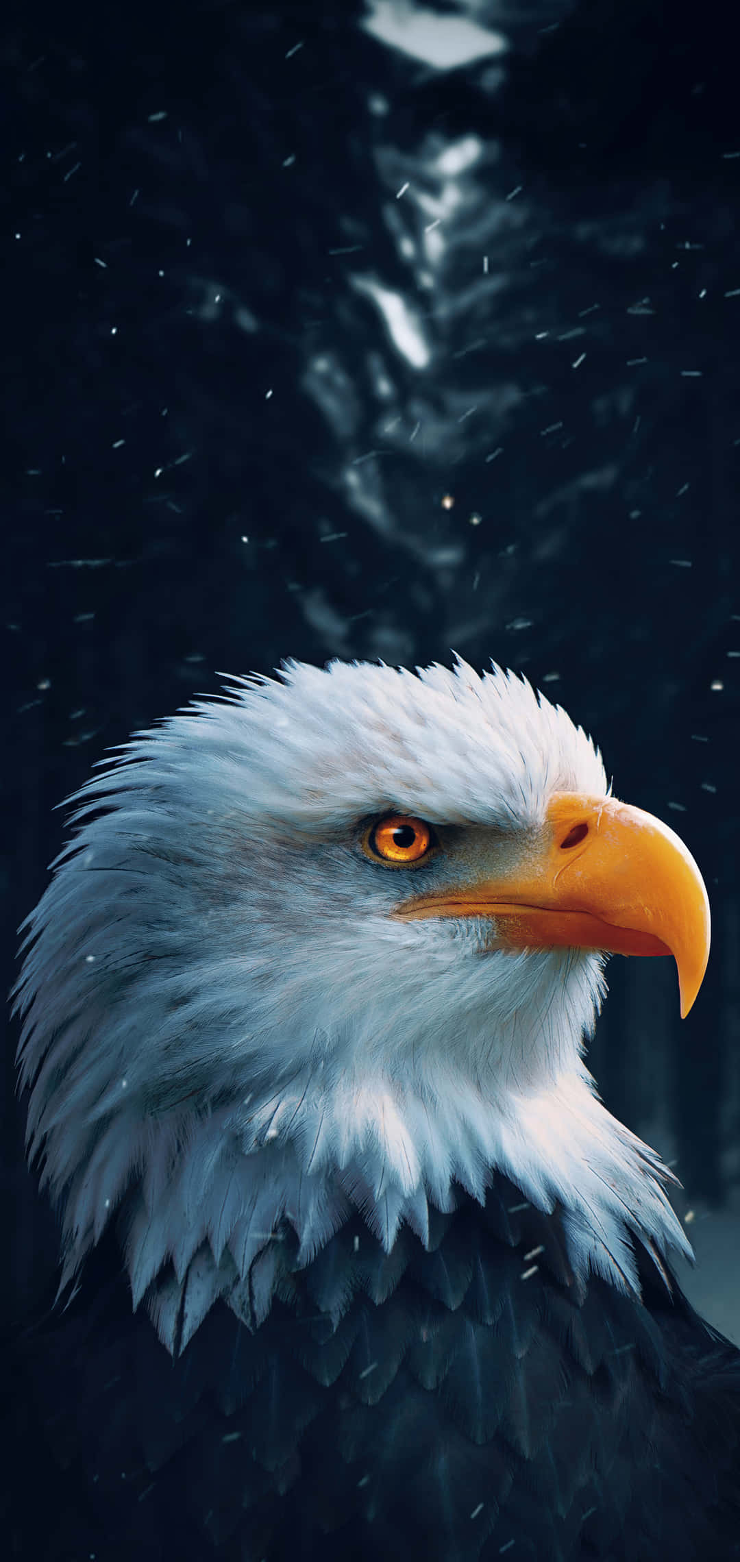 Bald Eagle, piercing orange eyes, white head feathers, Full HD Phone Wallpaper
