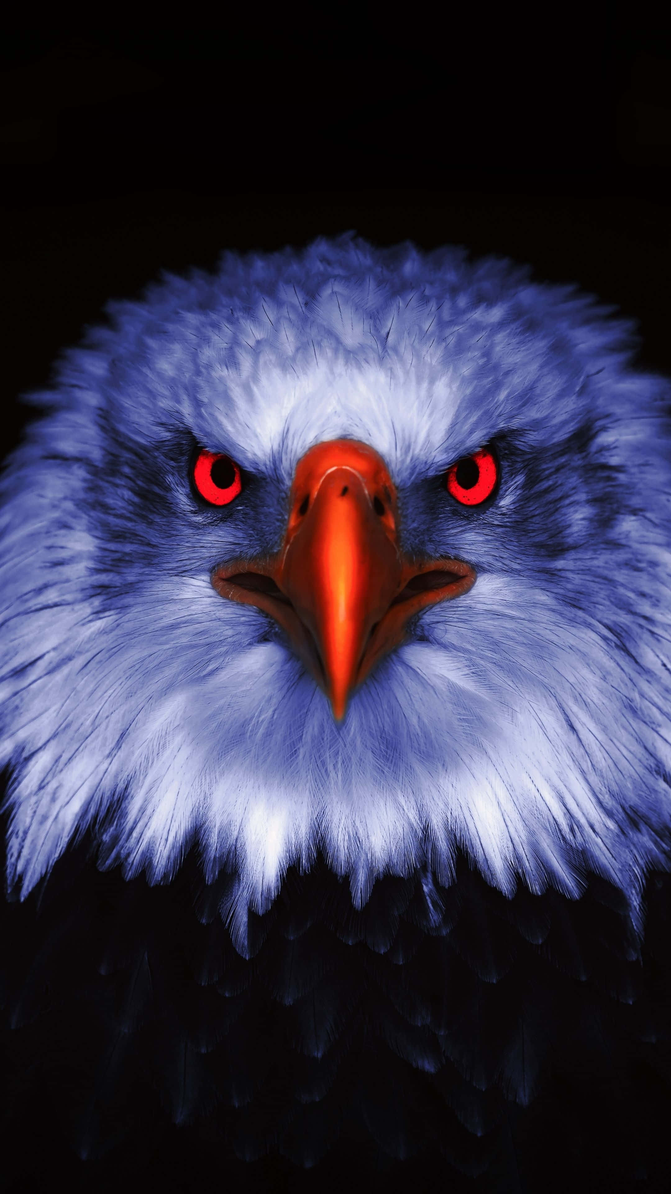 Bald Eagle, glowing red eyes, sharp orange beak, 4K Phone Wallpaper